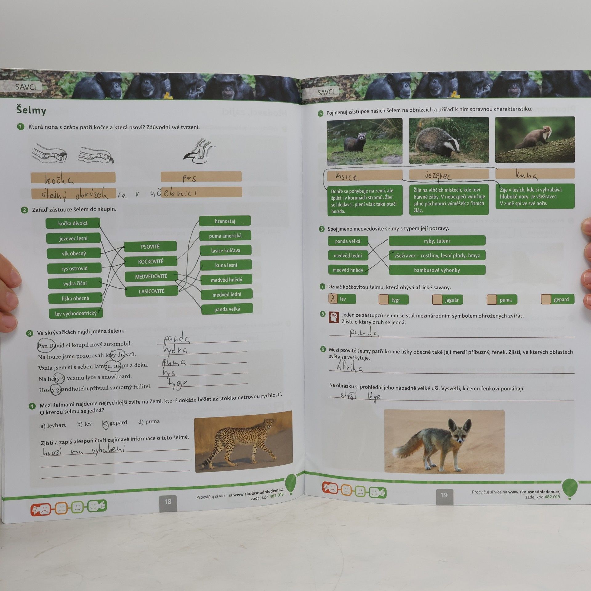 Autores varios Přírodopis s nadhledem 8 : pracovní sešit pro základní školy a víceletá gymnázia