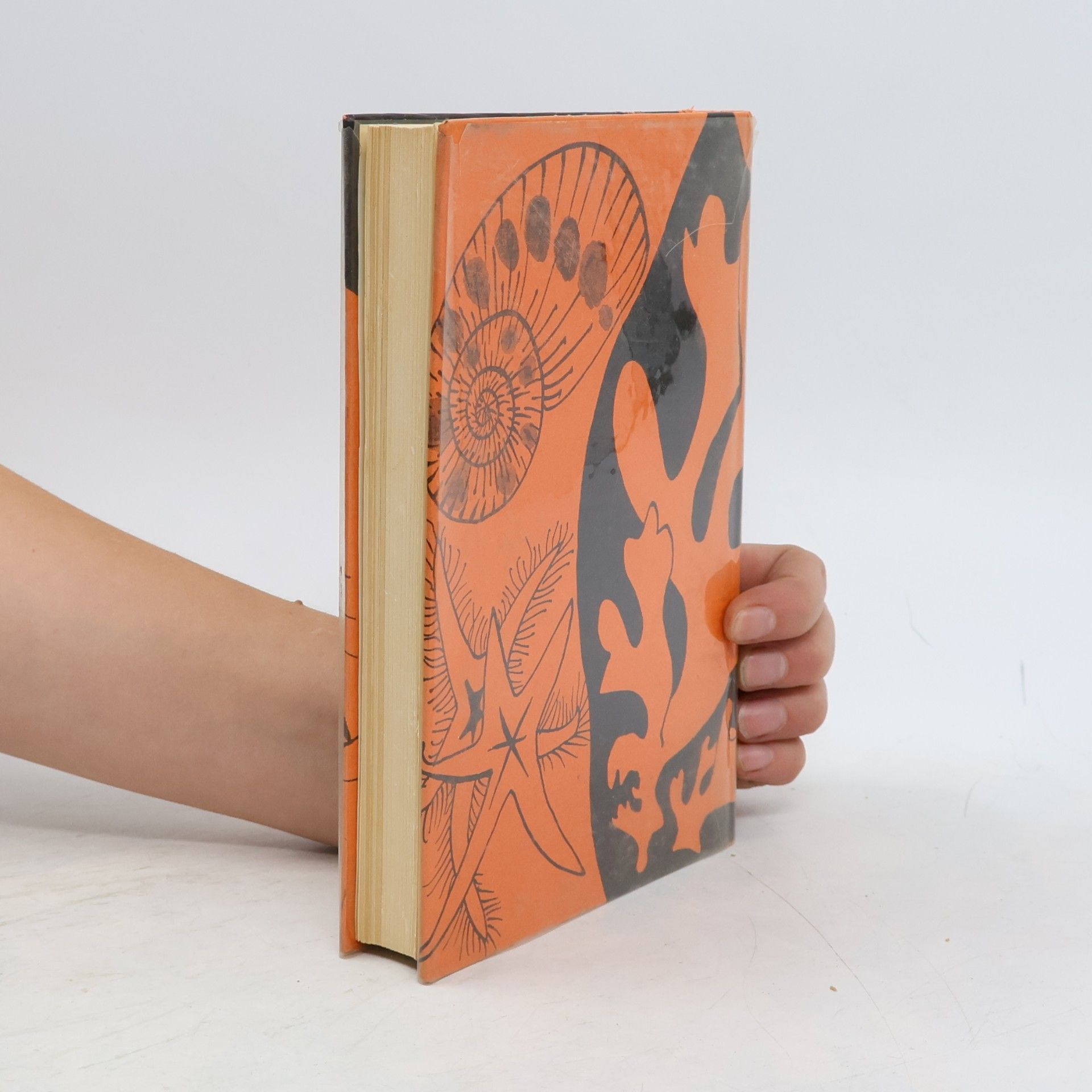 Somerset Maugham le fugitif