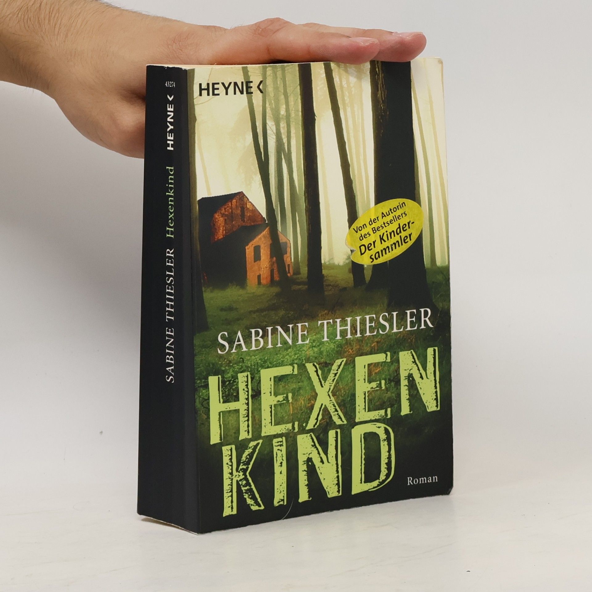 Sabine Thiesler Hexenkind - Roman