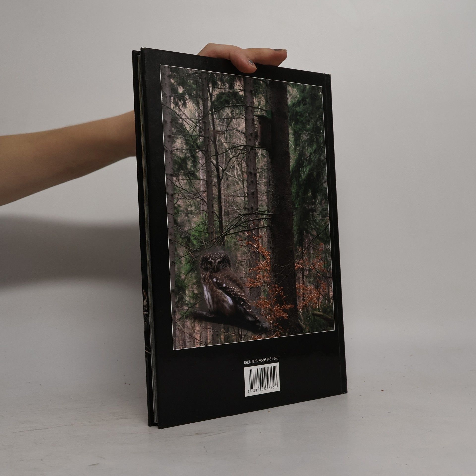 Stanislav Harvančík Sovy Slovenska vo fotografii