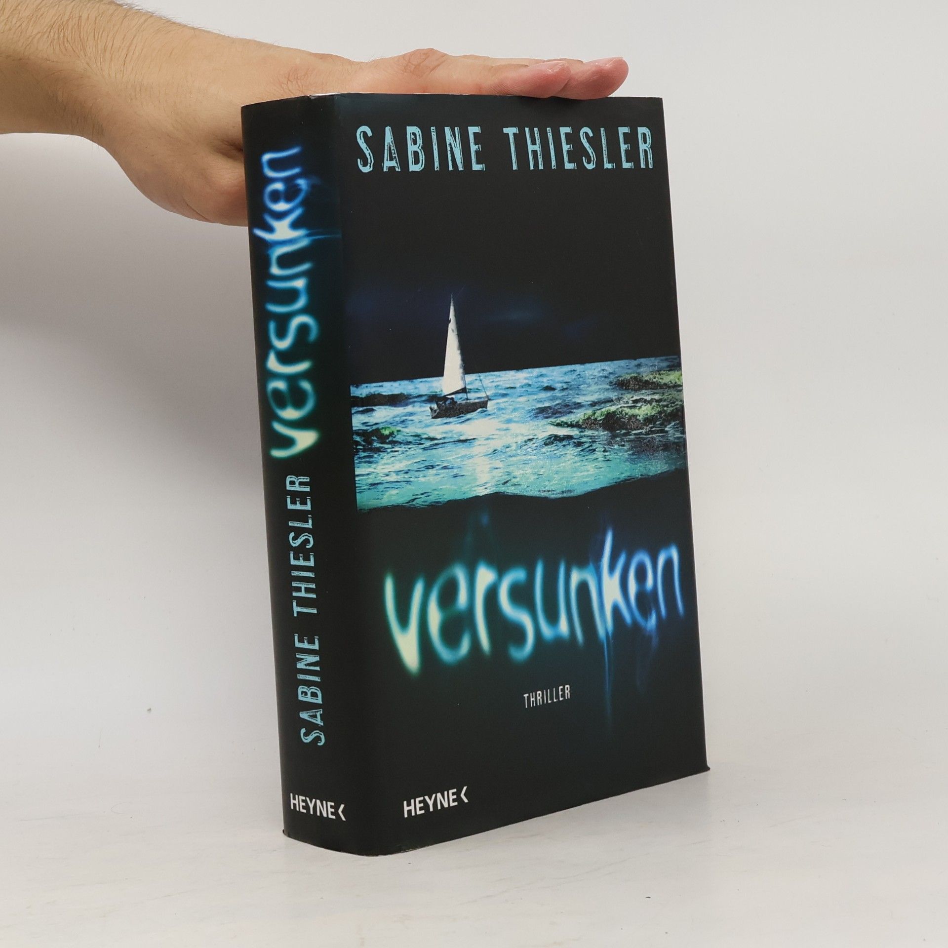 Sabine Thiesler Versunken