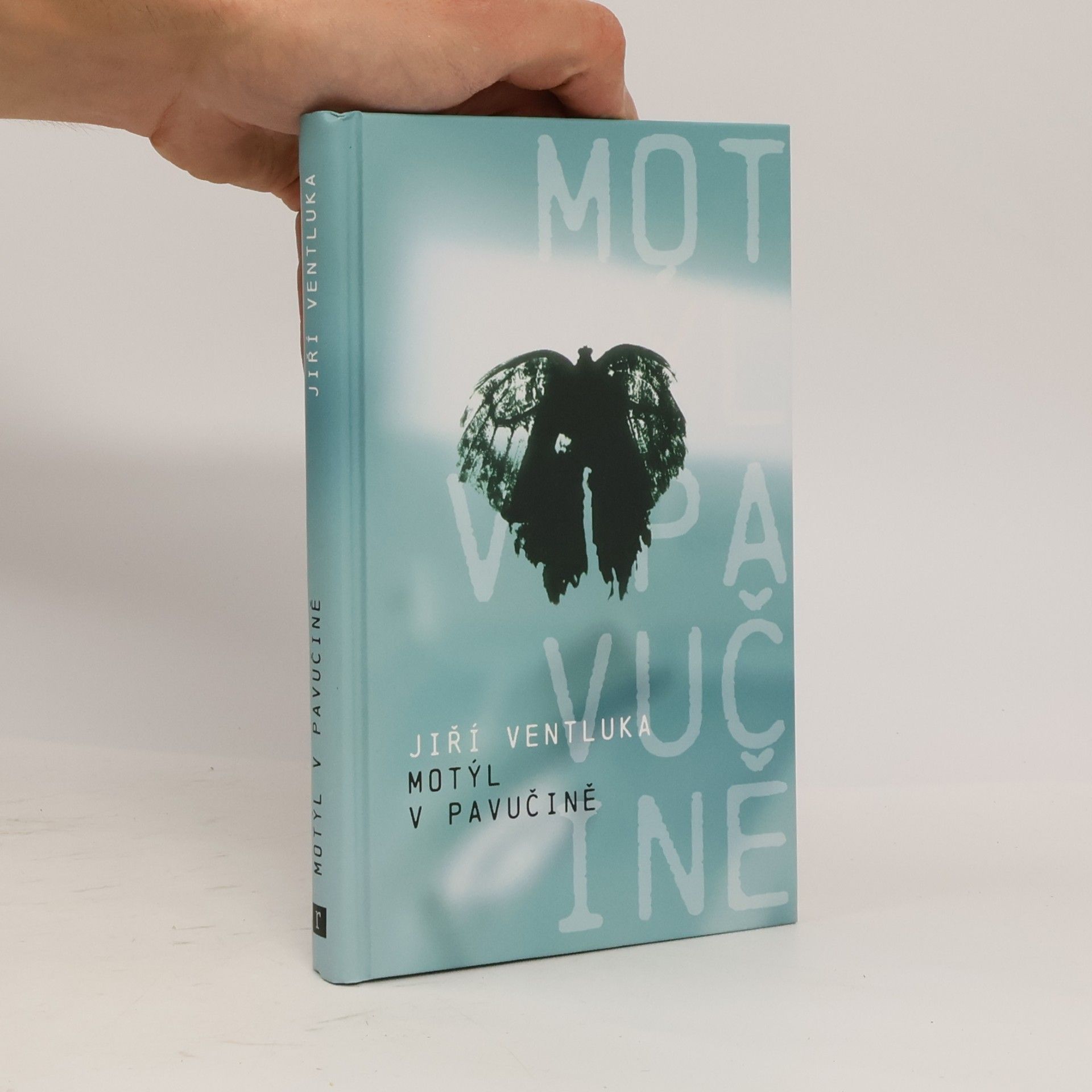 Motýl v pavučině