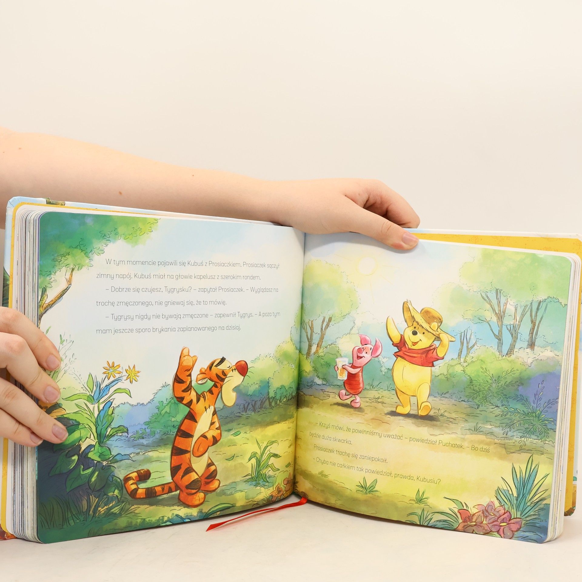 Catherine Hapka Cztery pory roku w Stumilowym Lesie Disney Kubuś i Przyjaciele