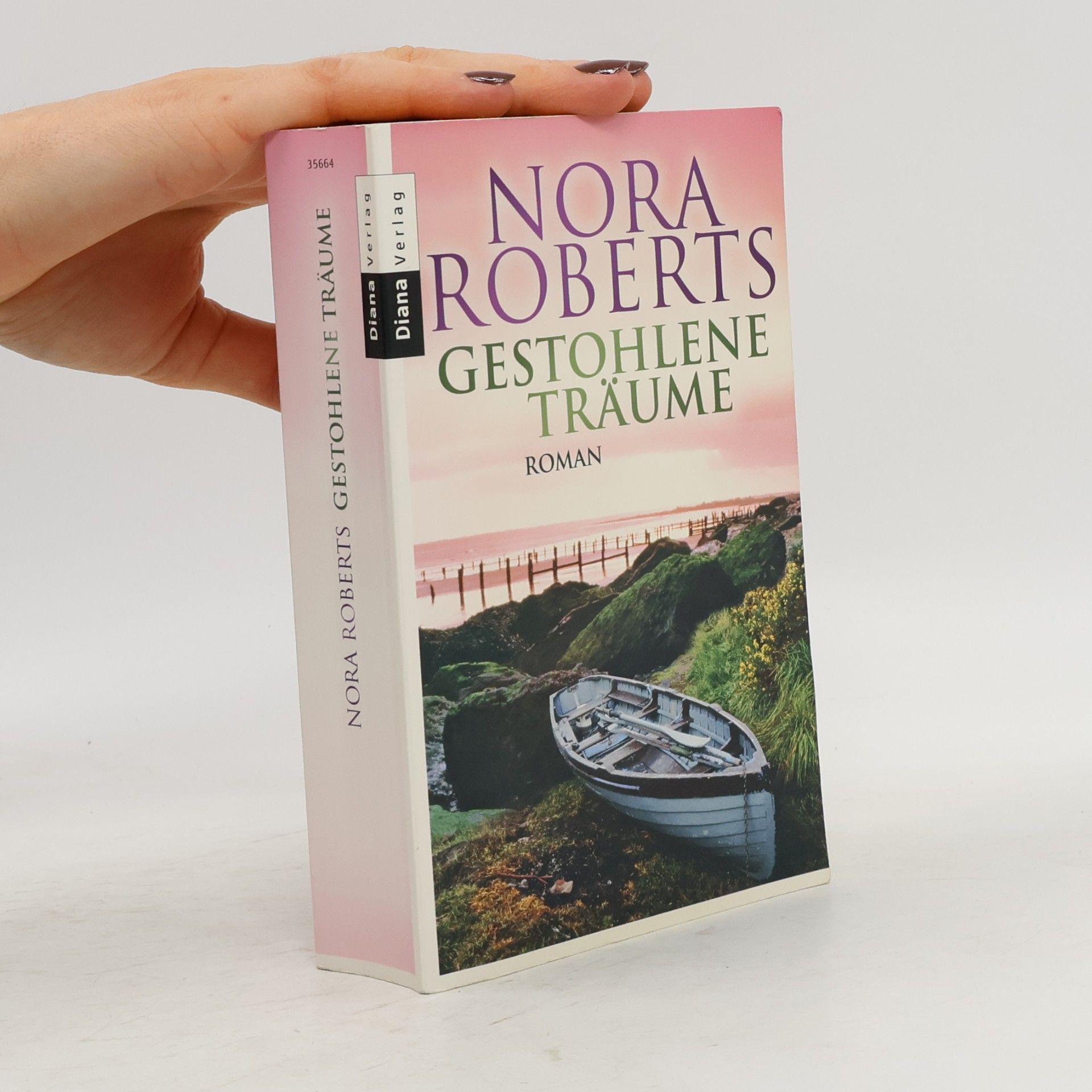 Nora Roberts Gestohlene Träume