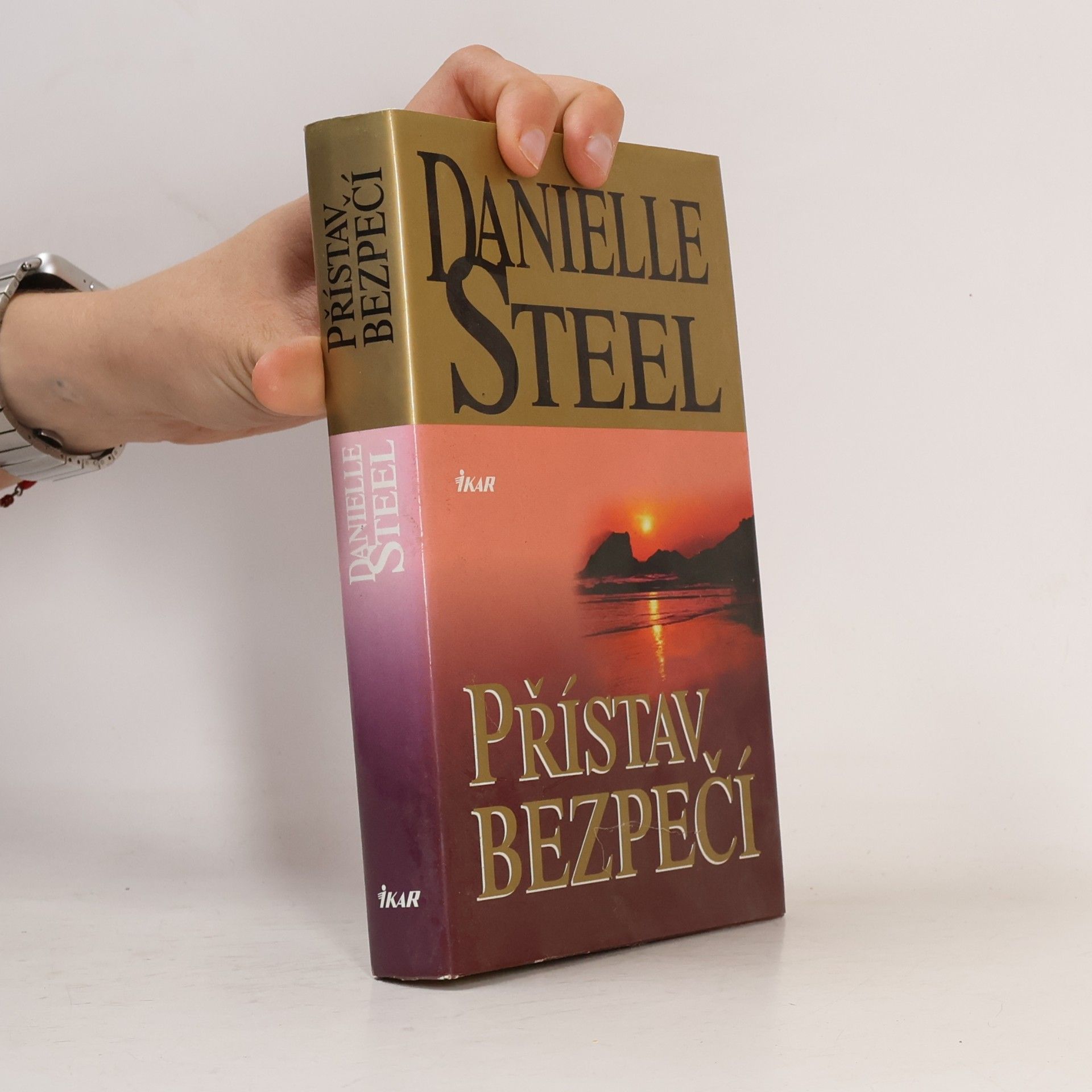 Danielle Steel Přístav bezpečí