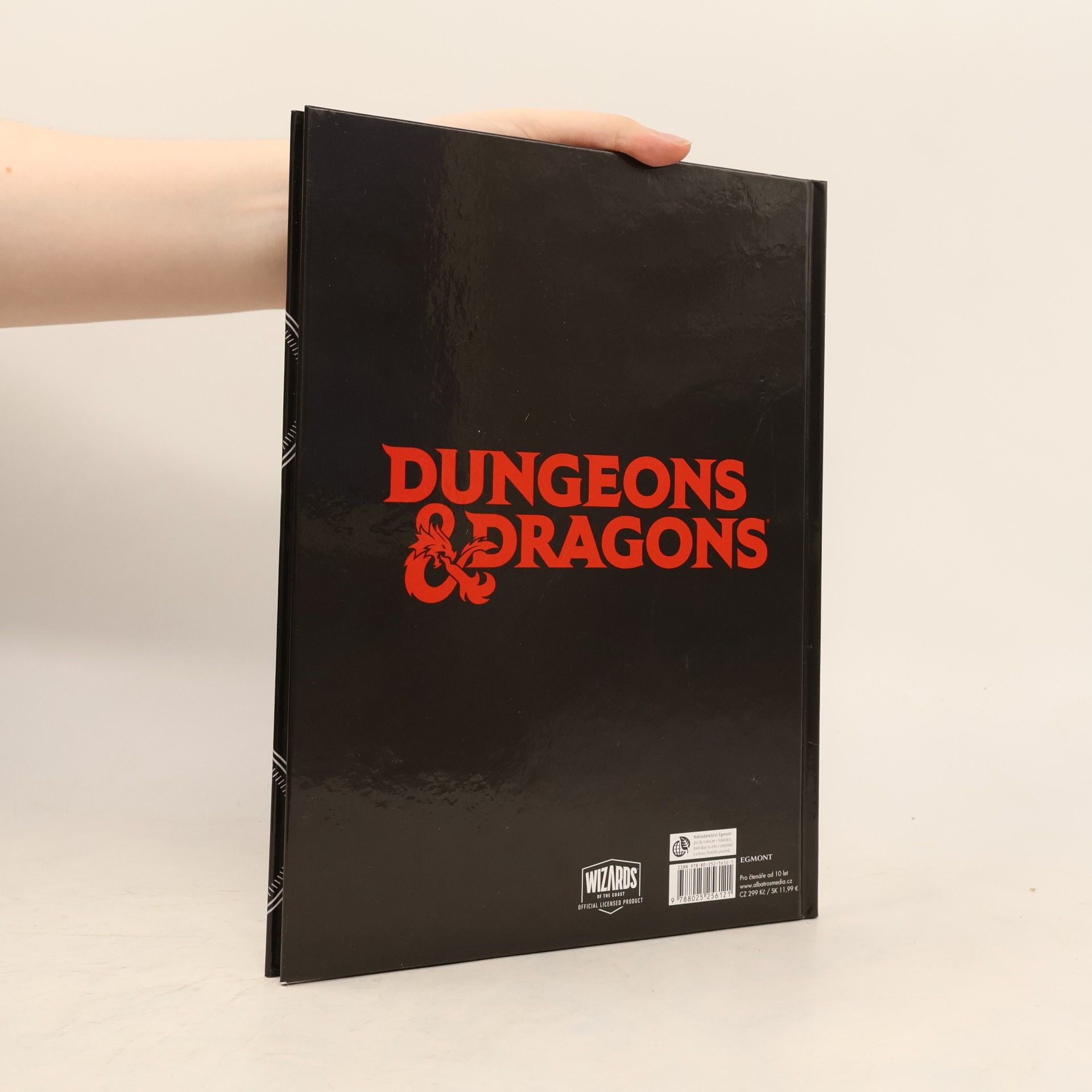 Susie Rae Dungeons & Dragons : hráčská ročenka