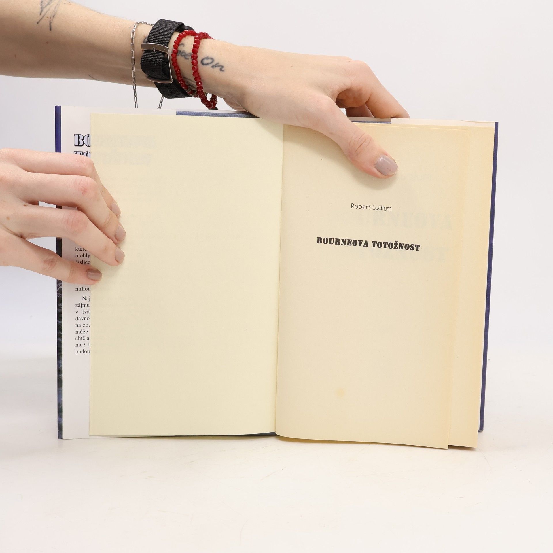 Robert Ludlum Bourneova totožnost