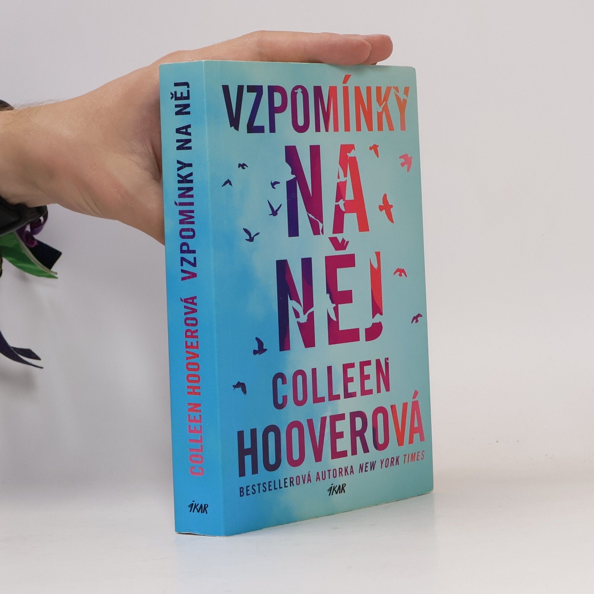 Colleen Hoover Vzpomínky na něj