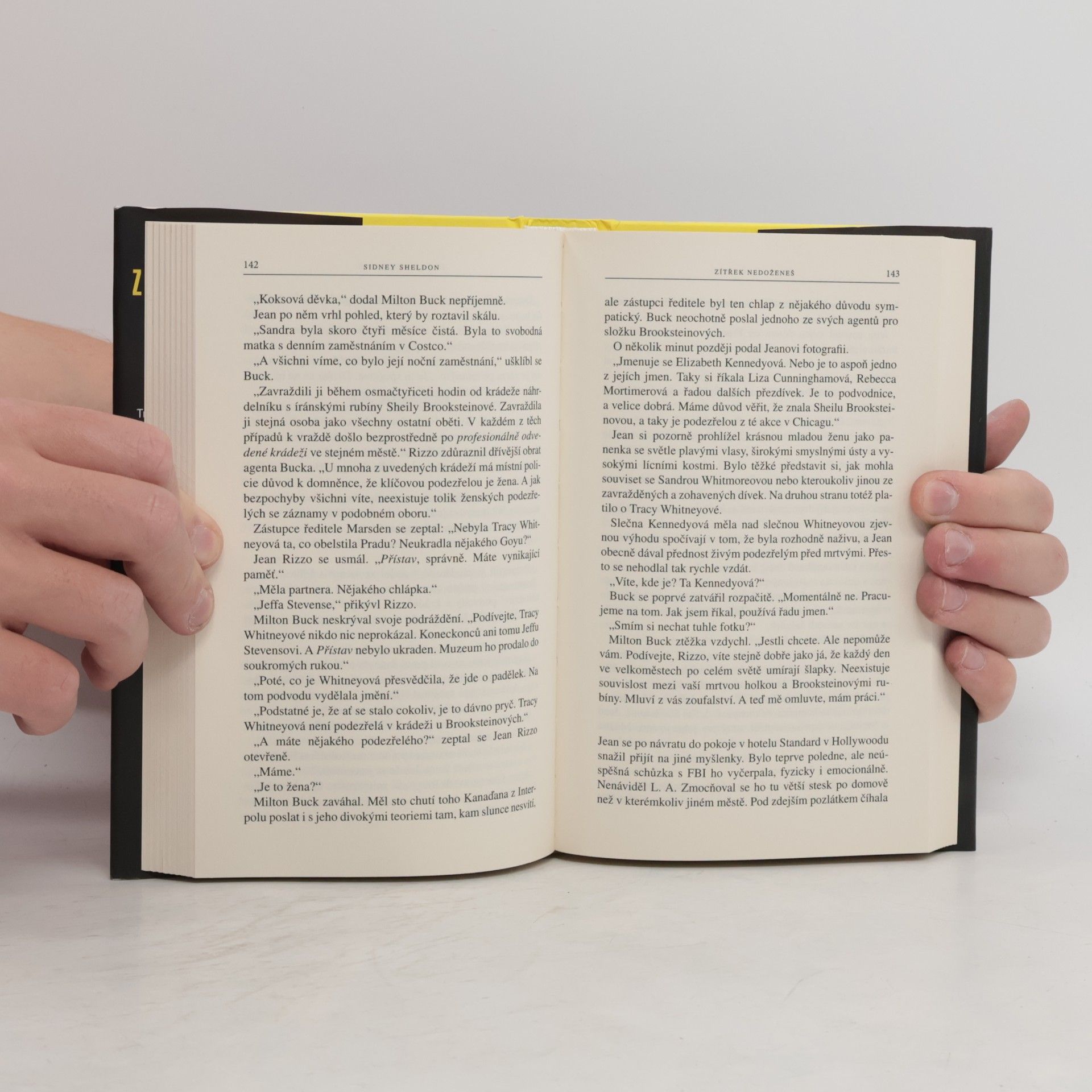 Sidney Sheldon Zítřek nedoženeš