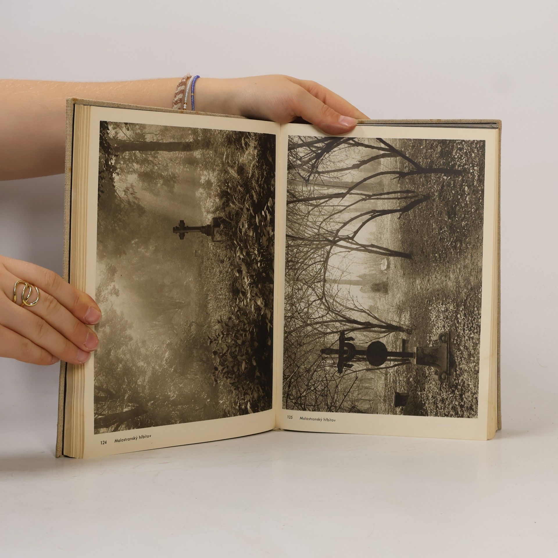 Josef Sudek Josef Sudek. Fotografie
