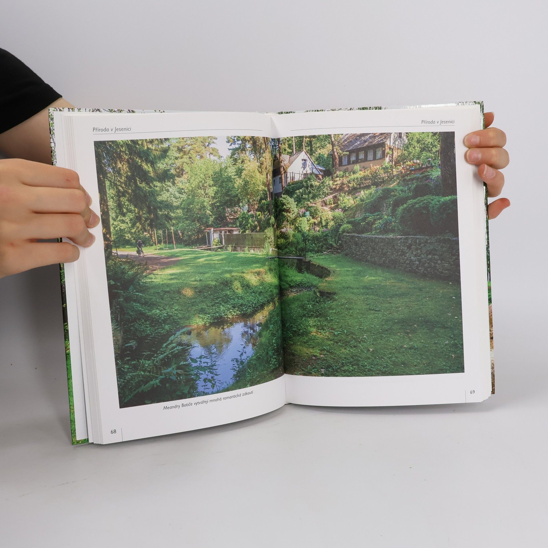 Autores varios Jesenice, město příběhů
