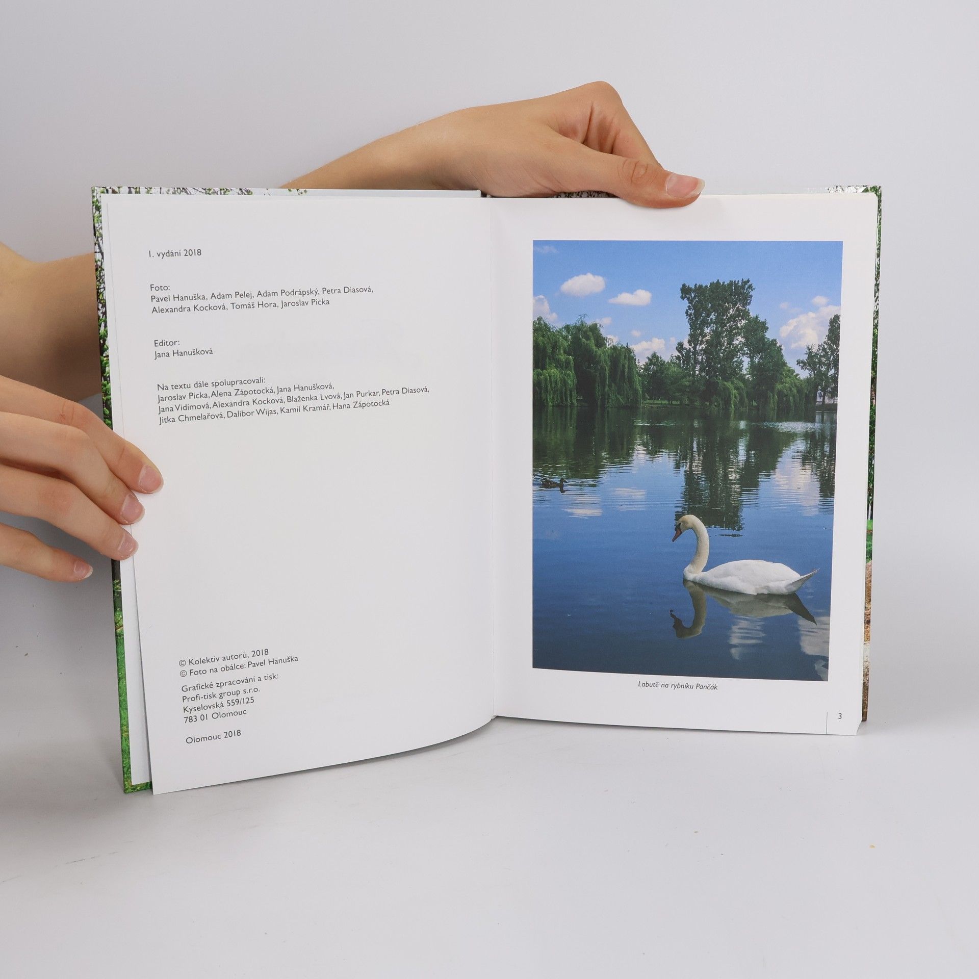 Autores varios Jesenice, město příběhů