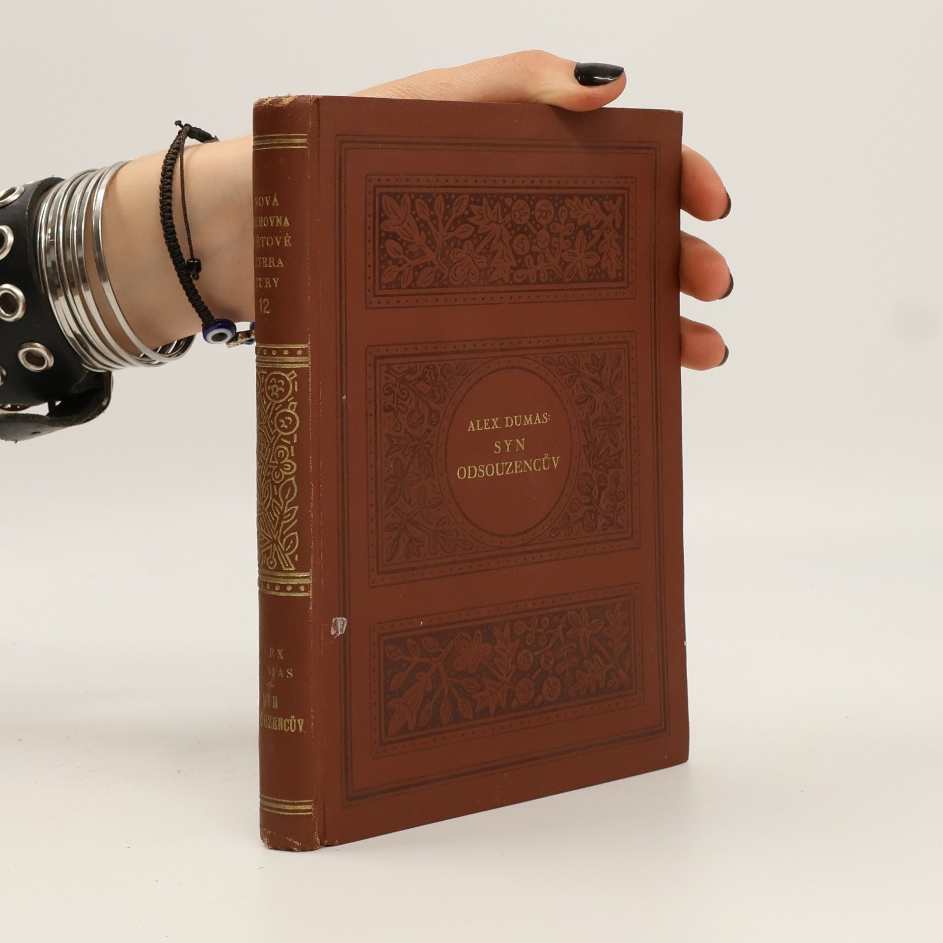 Alexandre Dumas der Ältere Syn odsouzencův
