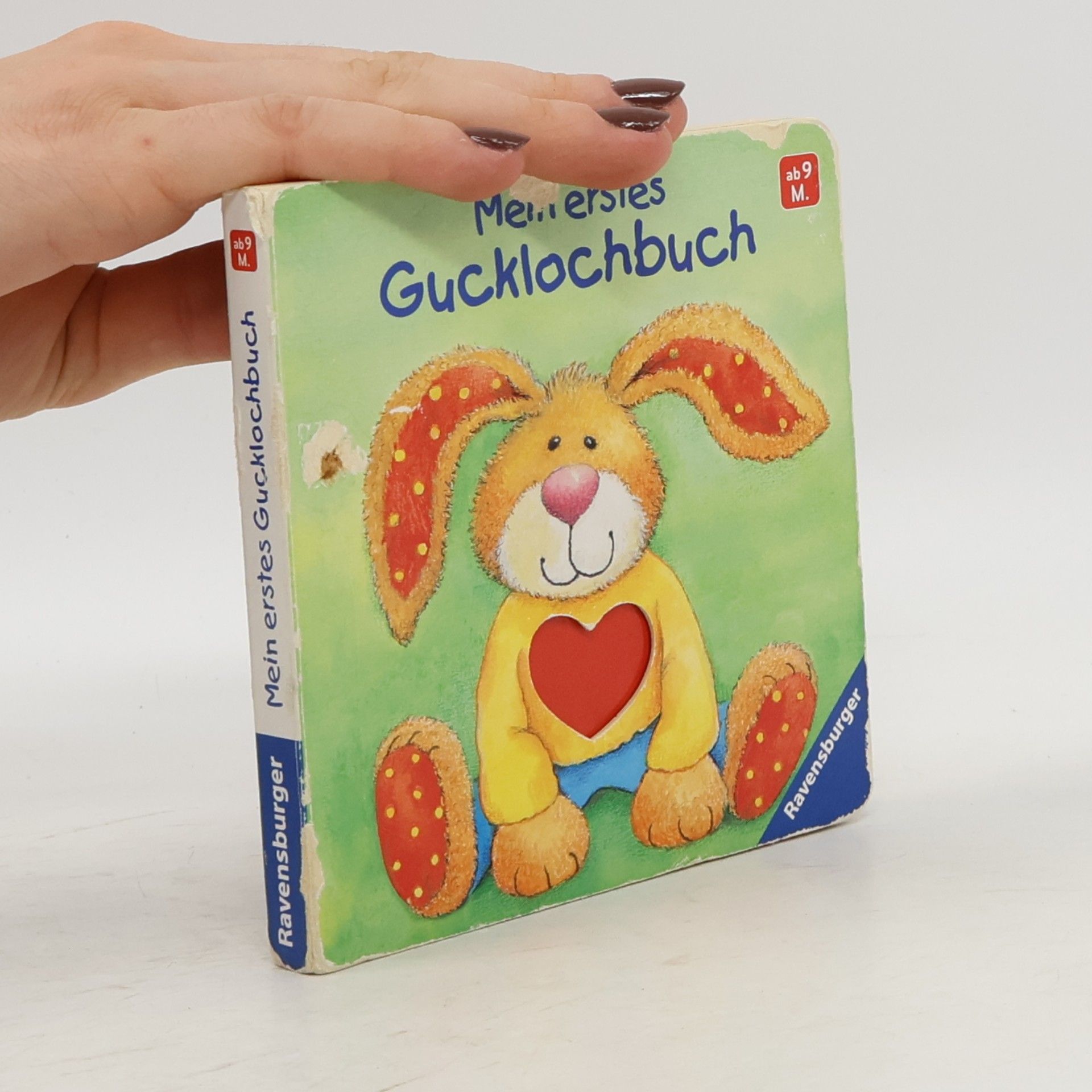 Ruth Wessels Mein erstes Gucklochbuch
