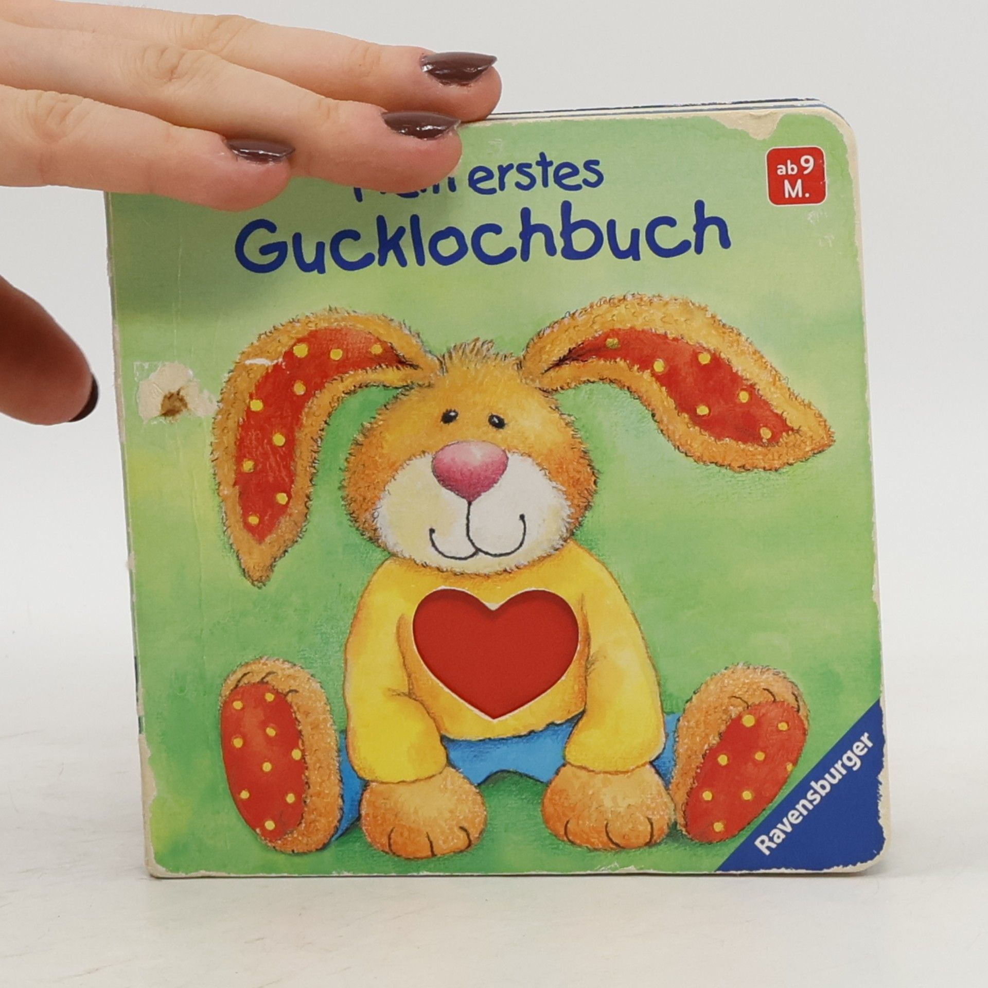 Ruth Wessels Mein erstes Gucklochbuch