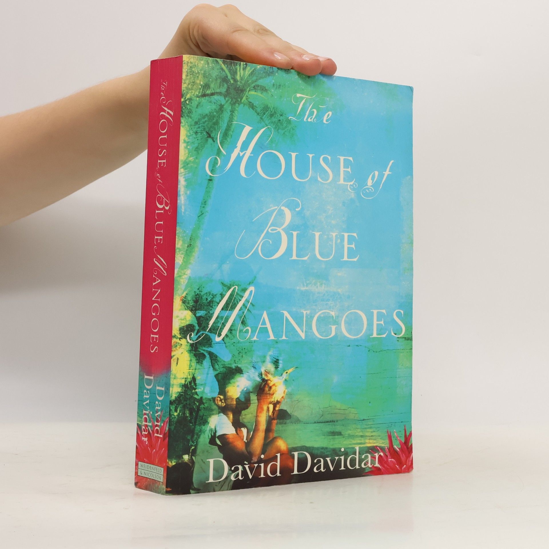 David Davidar The House of Blue Mangoes