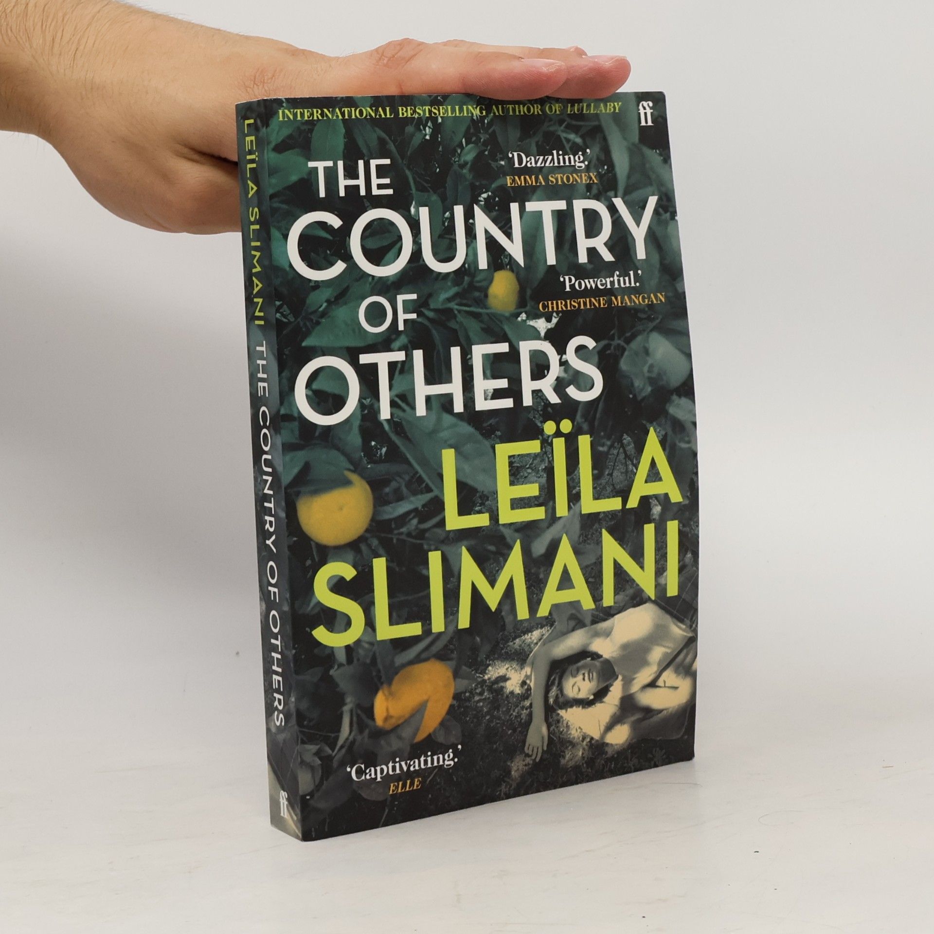 Leïla Slimani The Country of Others
