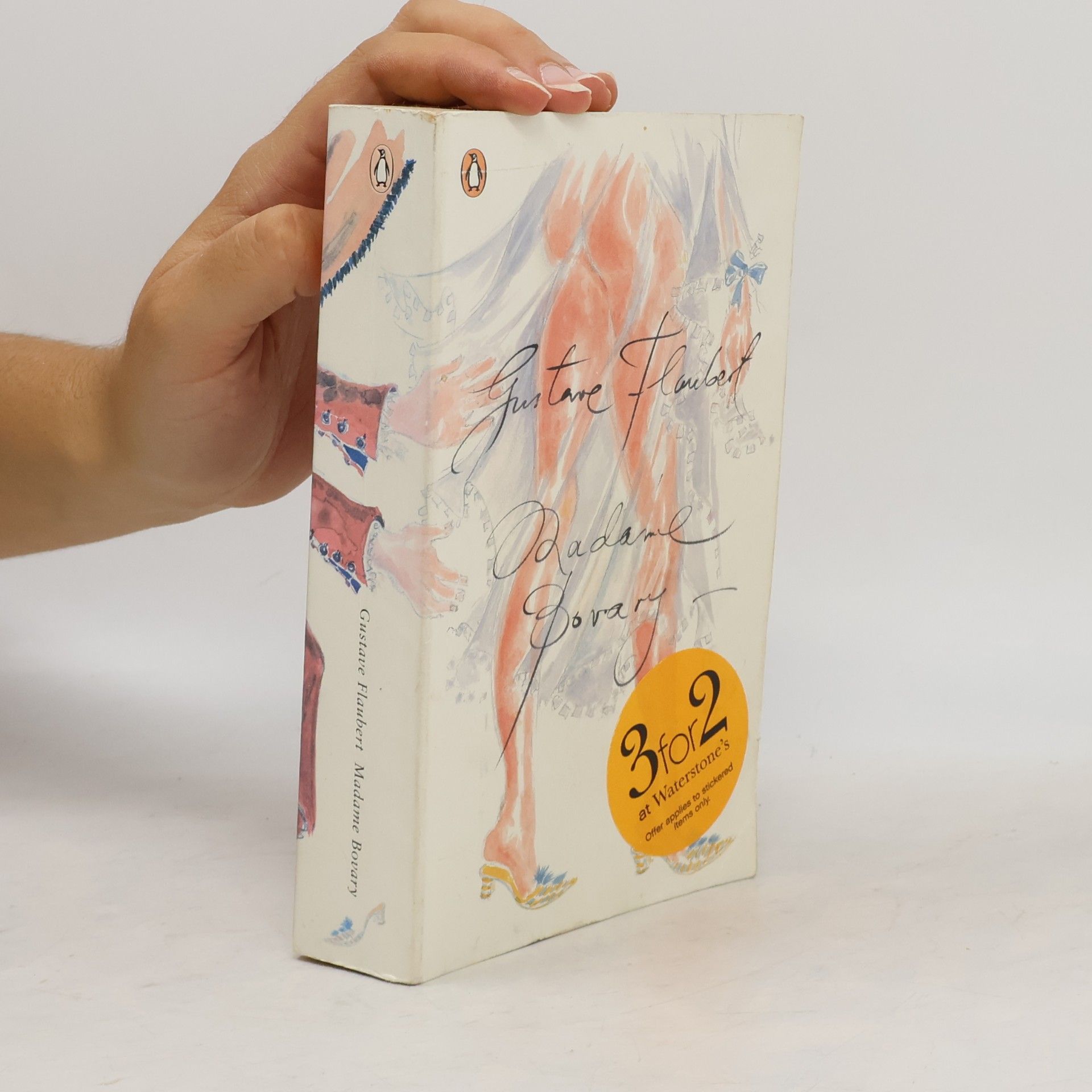 Gustave Flaubert Madame Bovary : provincial lives