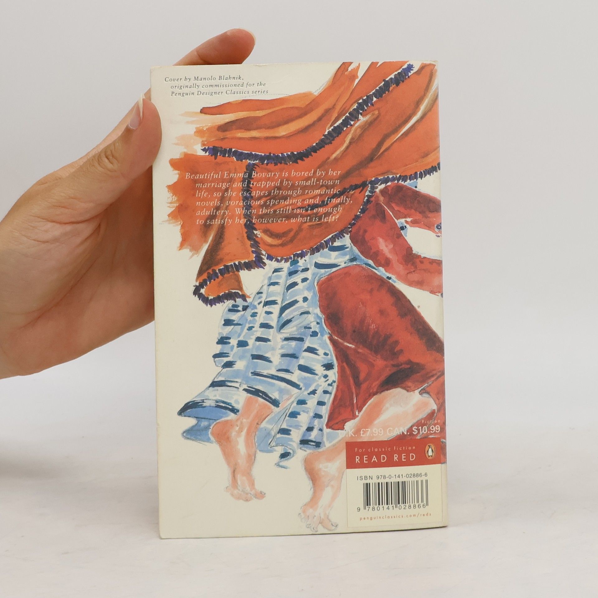 Gustave Flaubert Madame Bovary : provincial lives