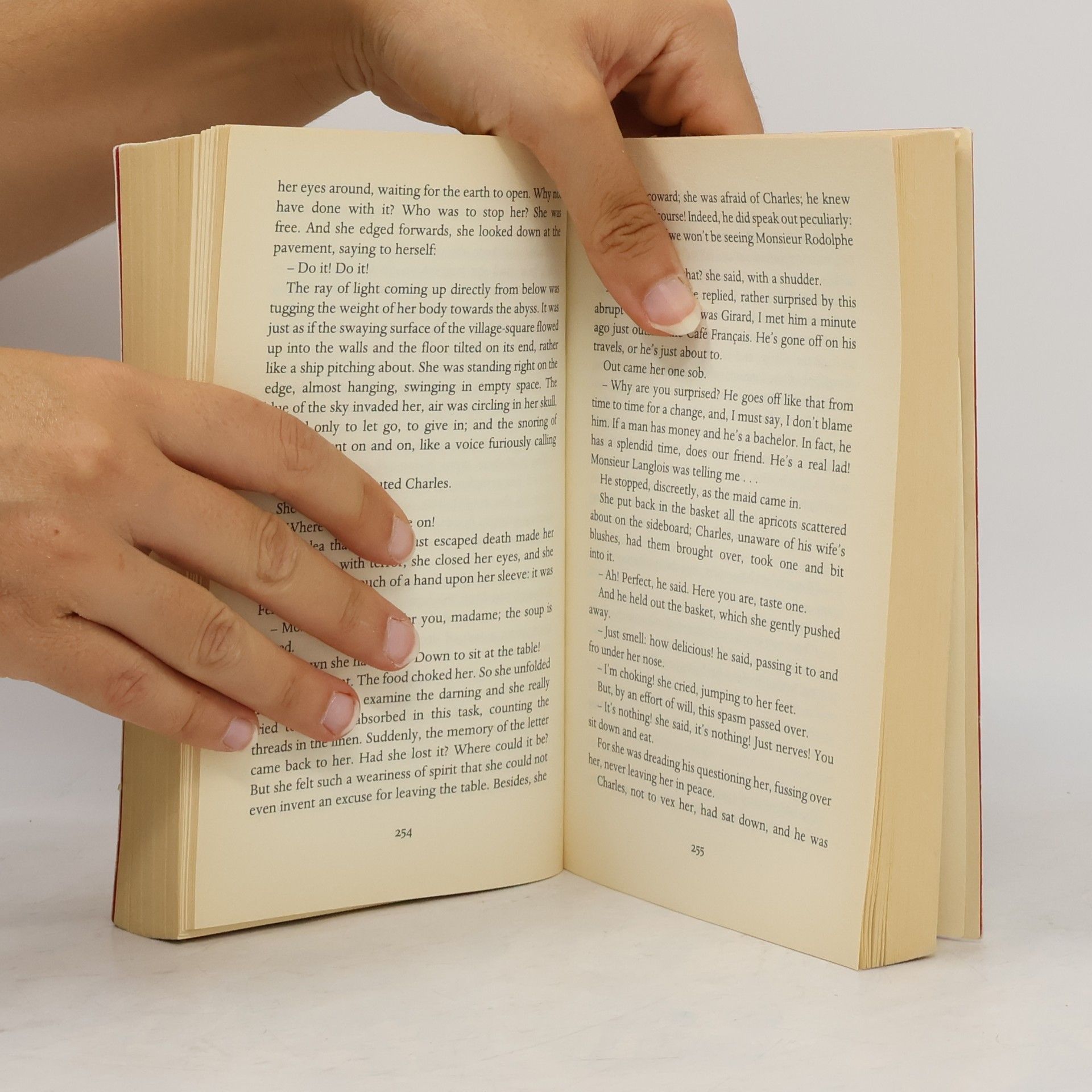 Gustave Flaubert Madame Bovary : provincial lives