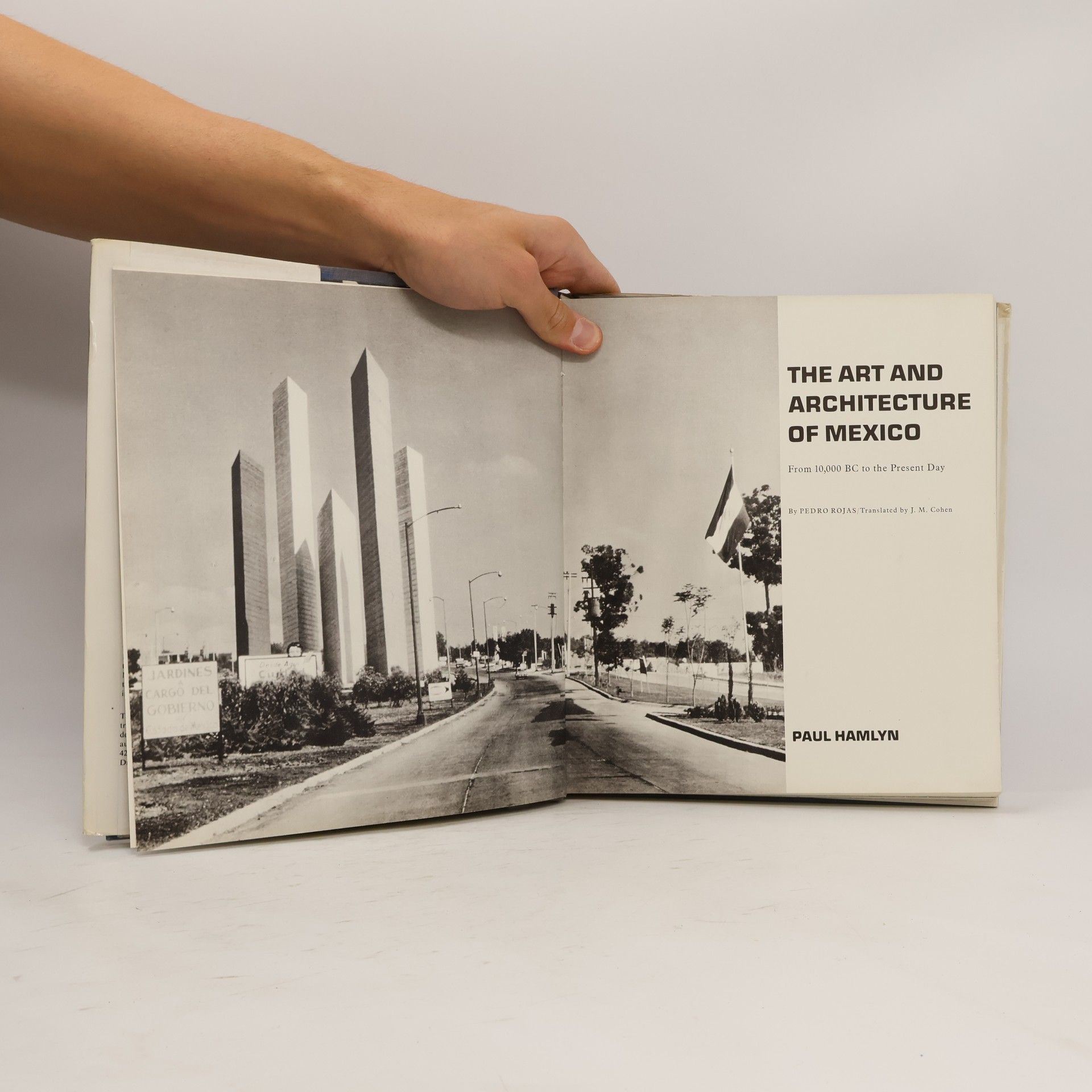 Pedro Rojas The Art and Architecture of Mexico