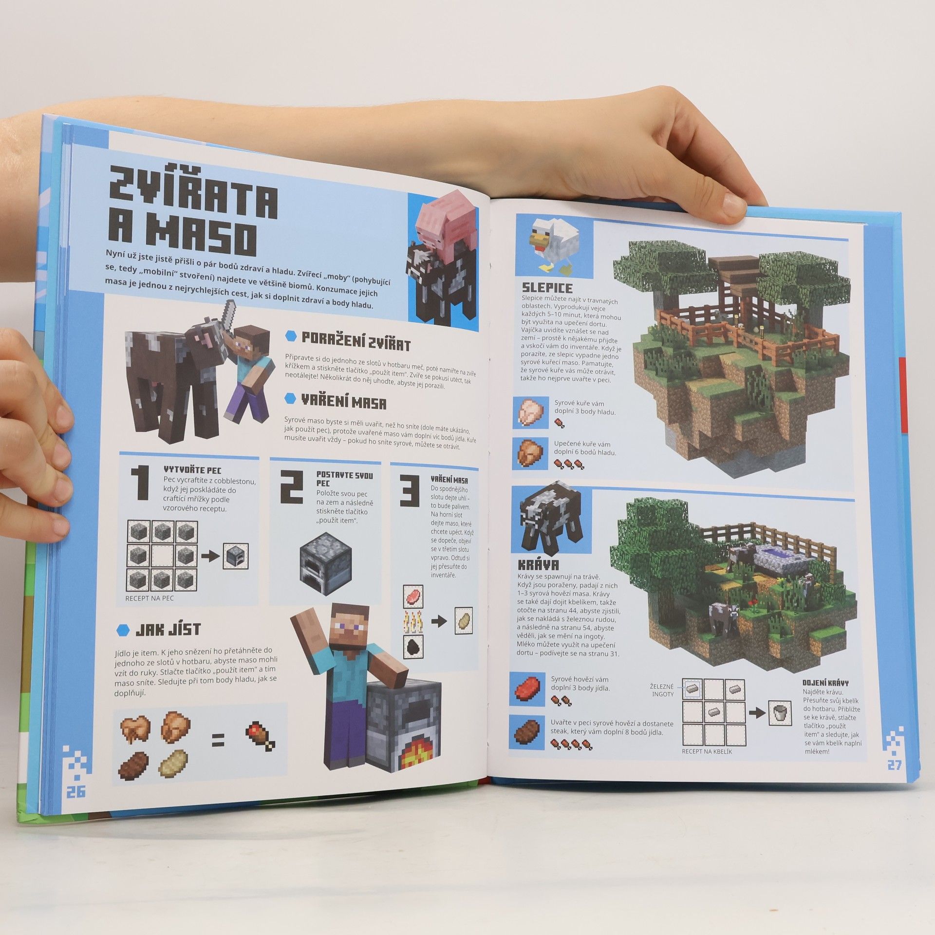 Autorenkollektiv Minecraft - Začínáme hrát