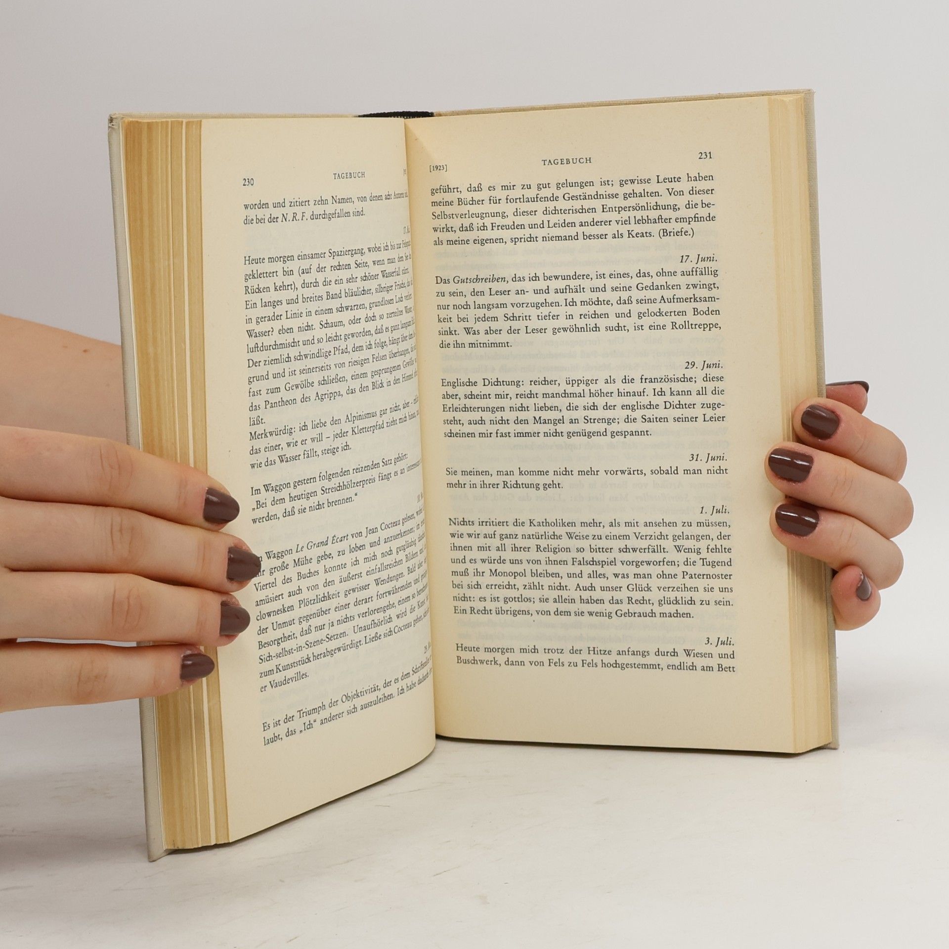 André Gide Aus den Tagebüchern 1889-1939