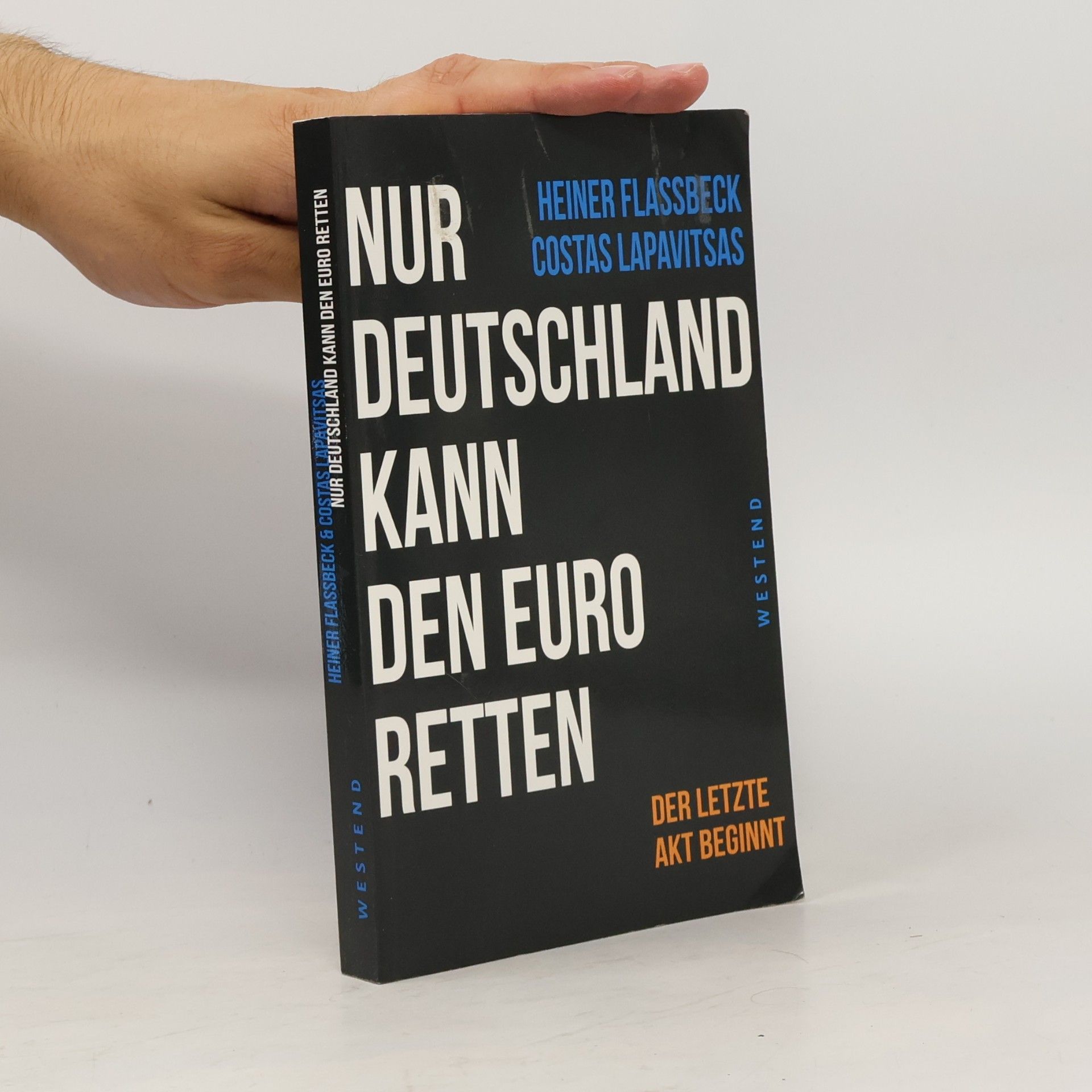 Gerhard Illing Optionen im Euroraum