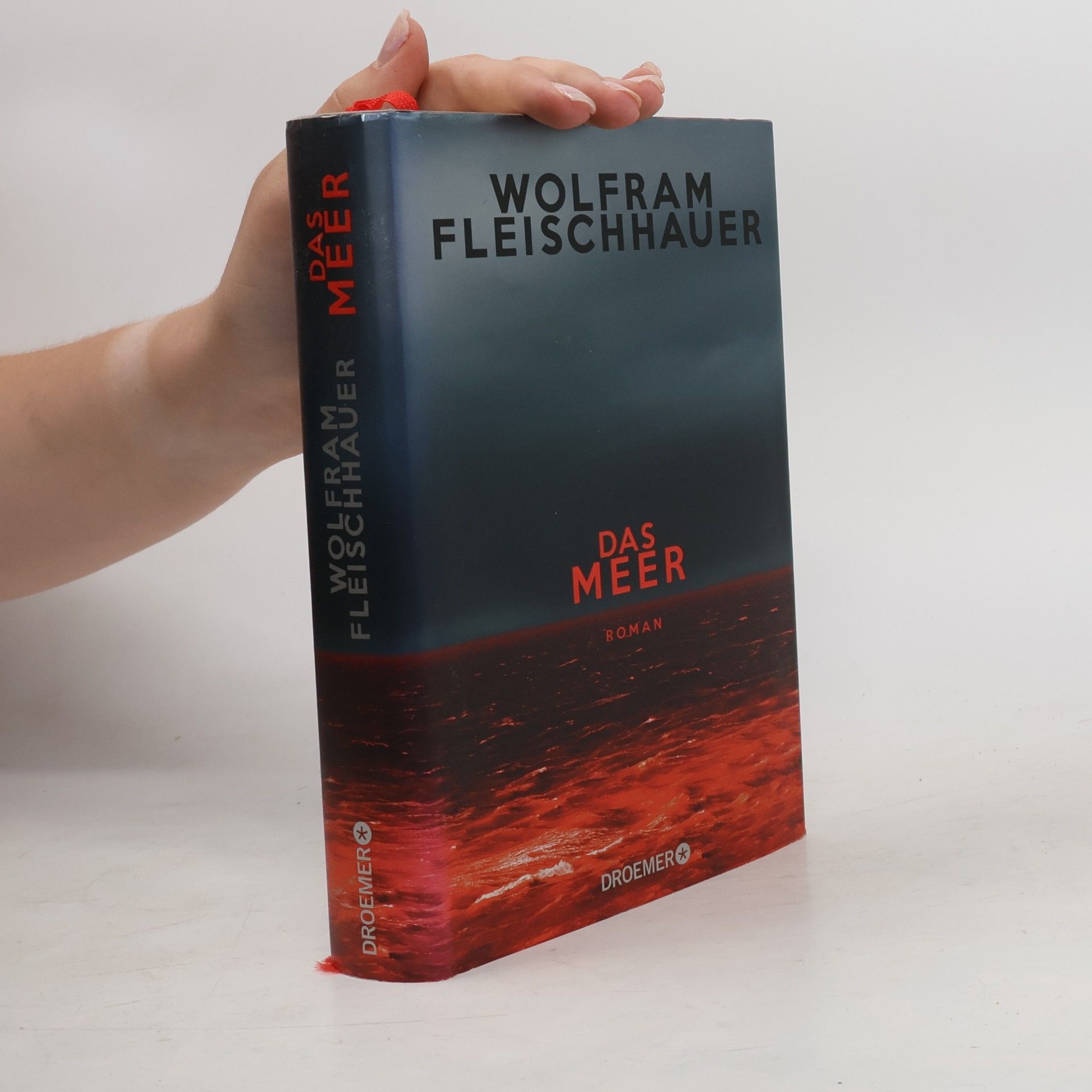 Wolfram Fleischhauer Das Meer