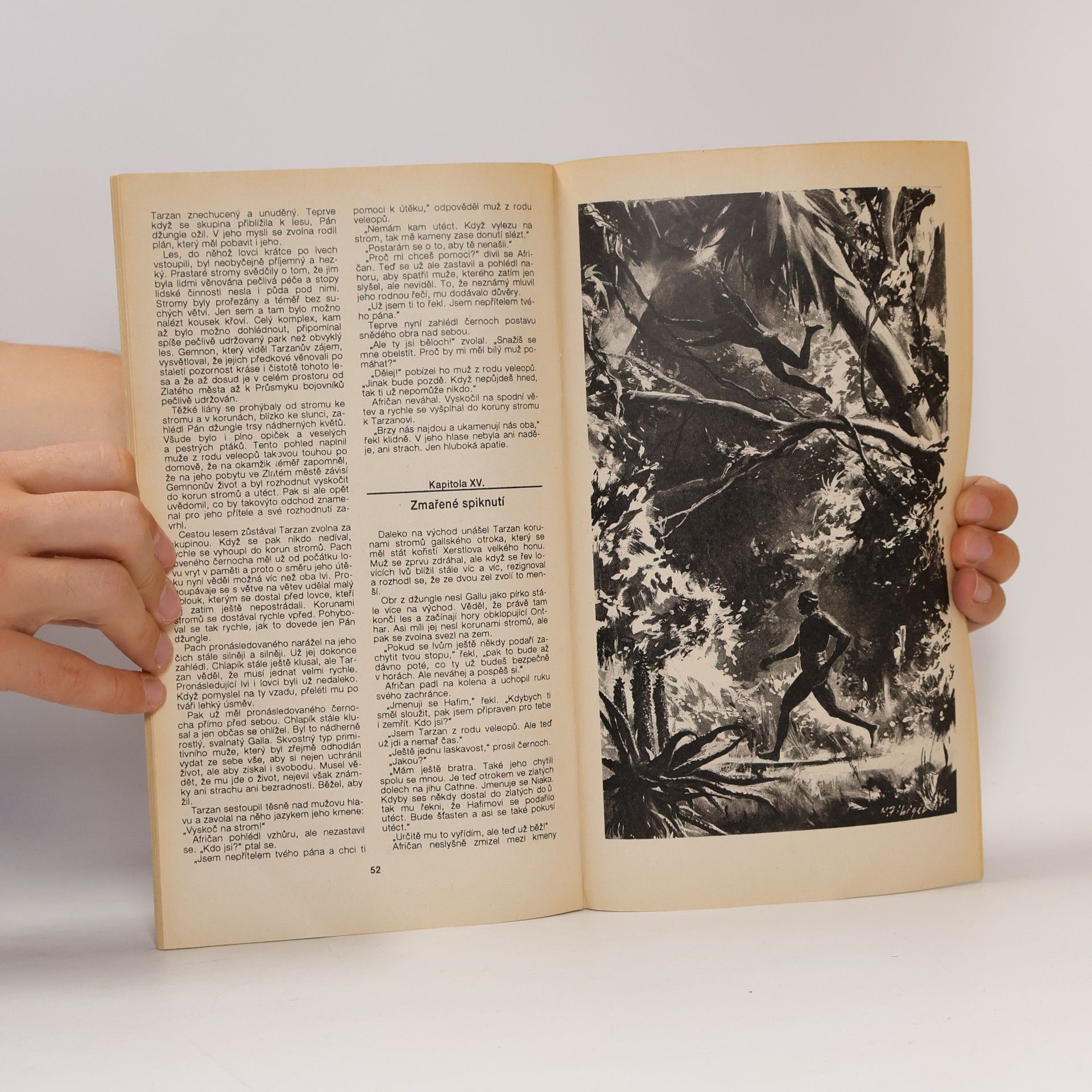 Edgar Rice Burrroughs Tarzan 6. Tarzan a zlatý lev