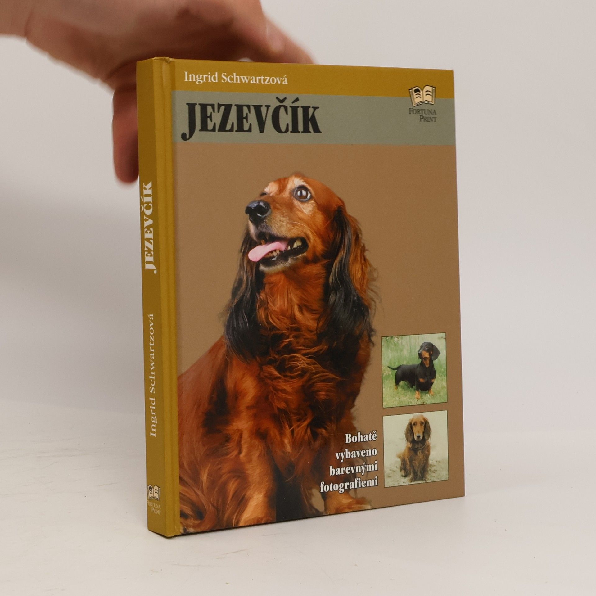 Jezevčík
