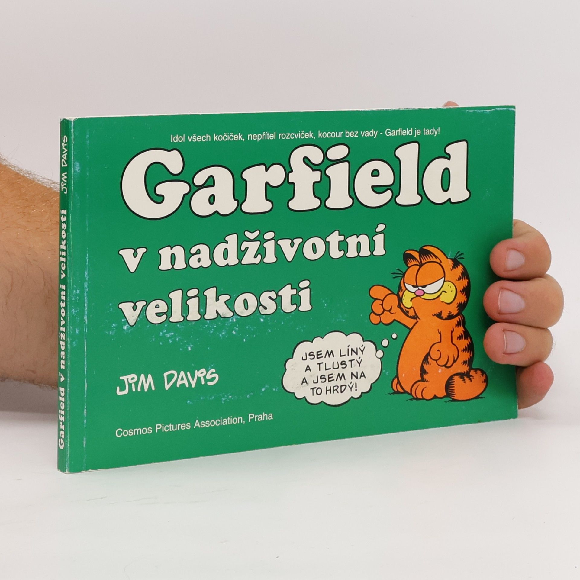 Jim Davis Garfield v nadživotní velikosti