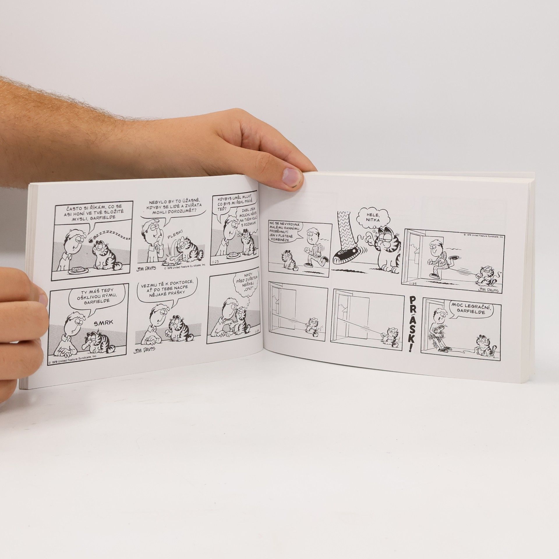 Jim Davis Garfield v nadživotní velikosti