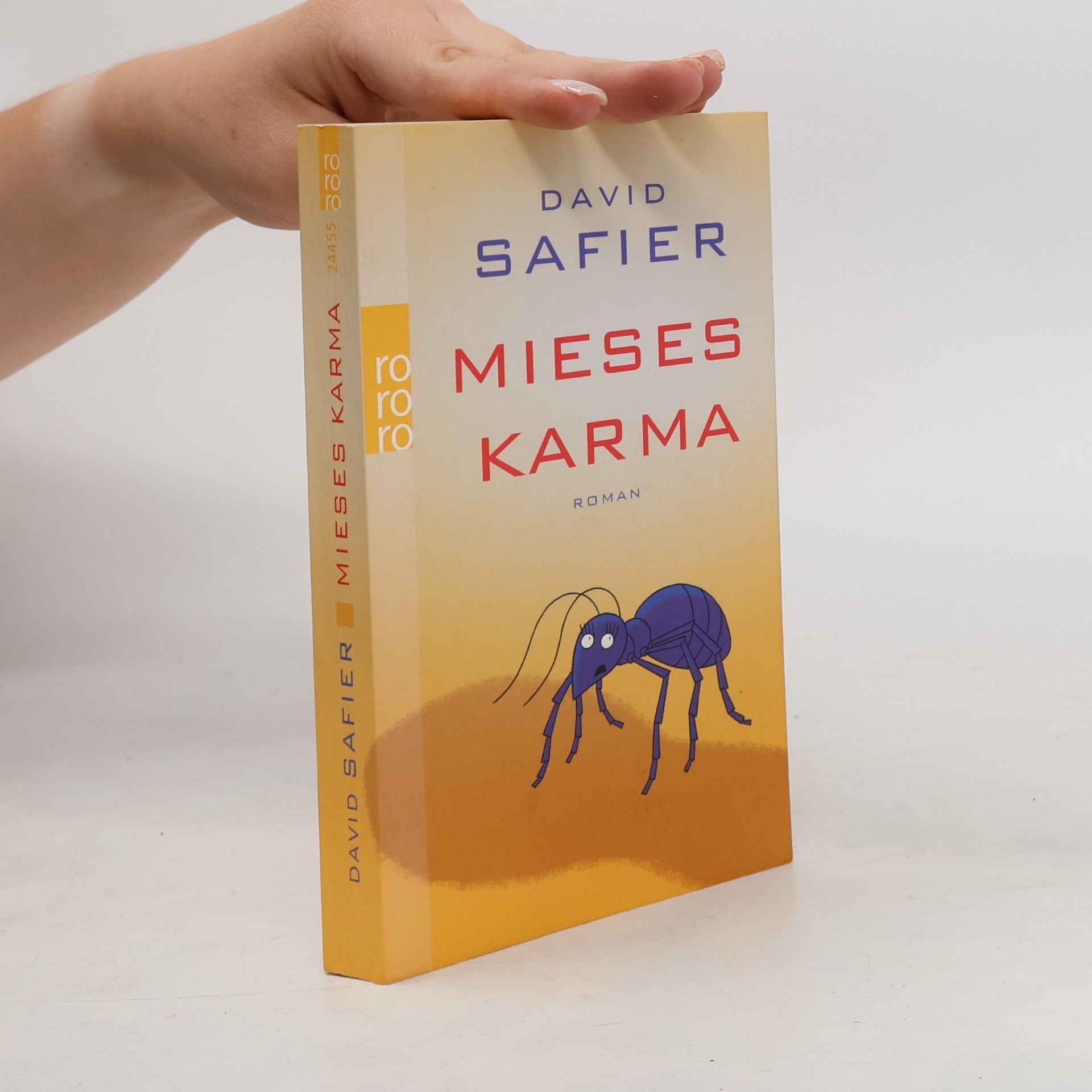 David Safier Mieses Karma
