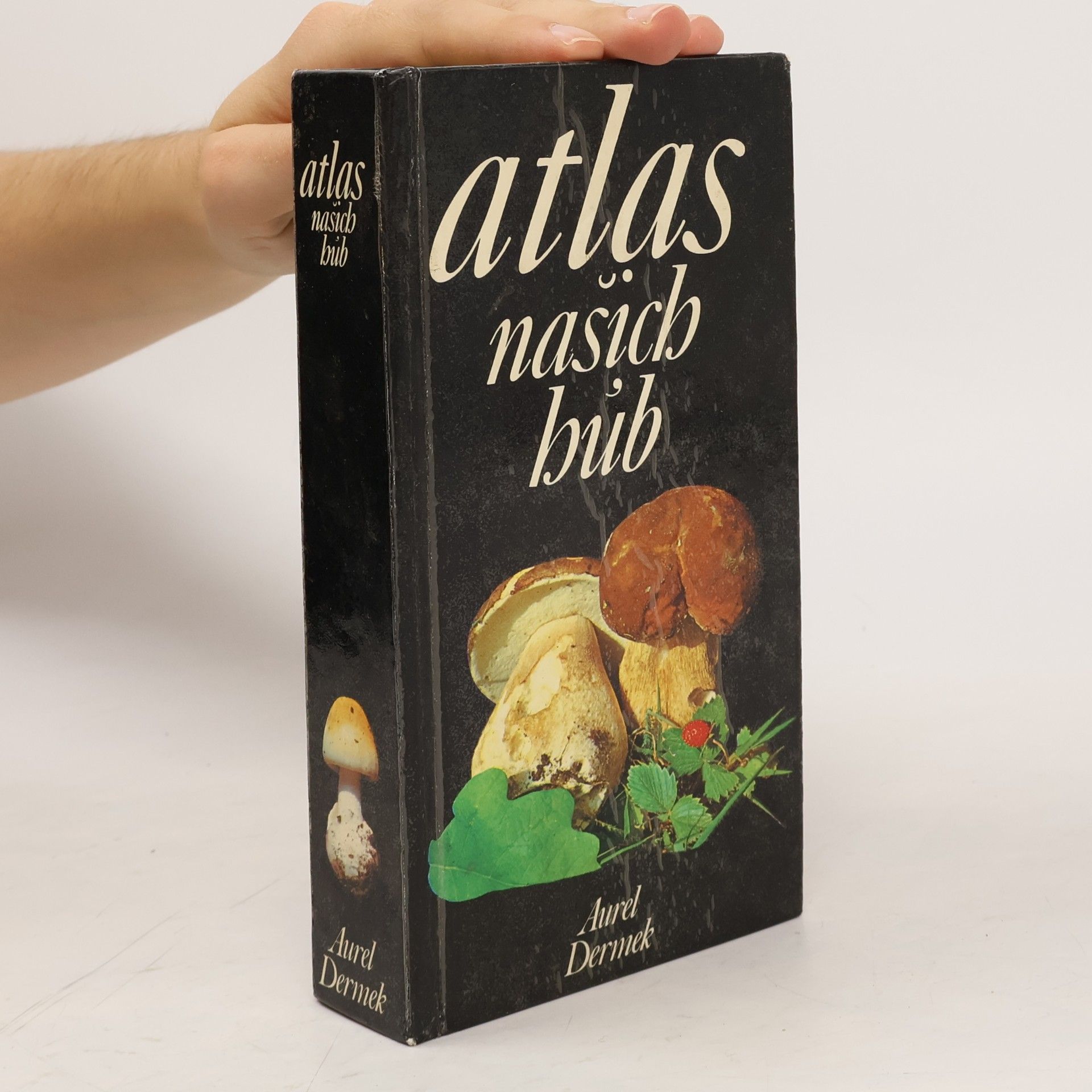 Aurel Dermek Atlas našich húb