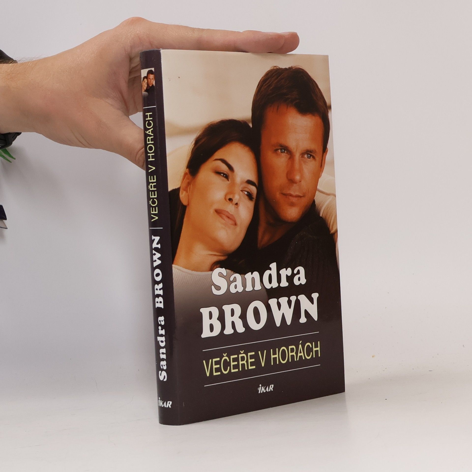Sandra Brown Večeře v horách