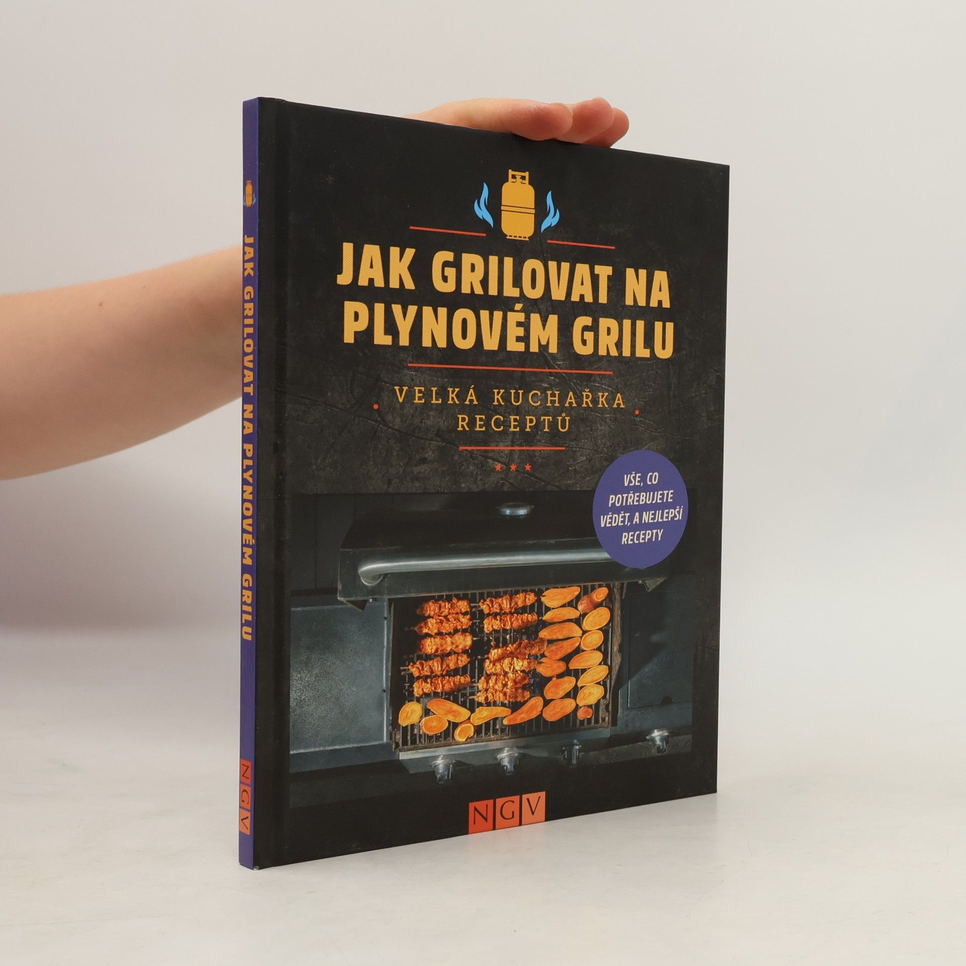 Kolektiv autorů Jak grilovat na plynovém grilu
