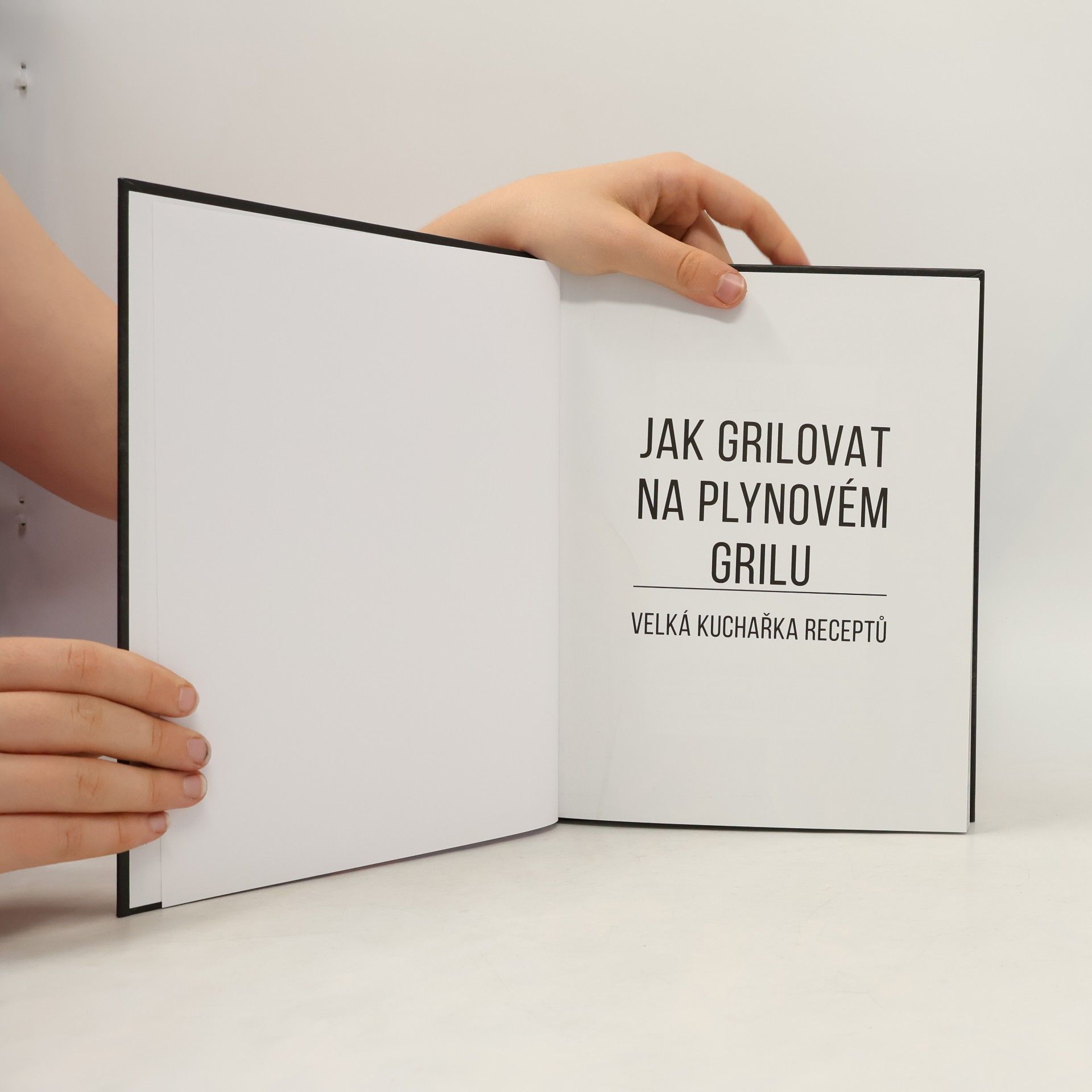 Various authors Jak grilovat na plynovém grilu