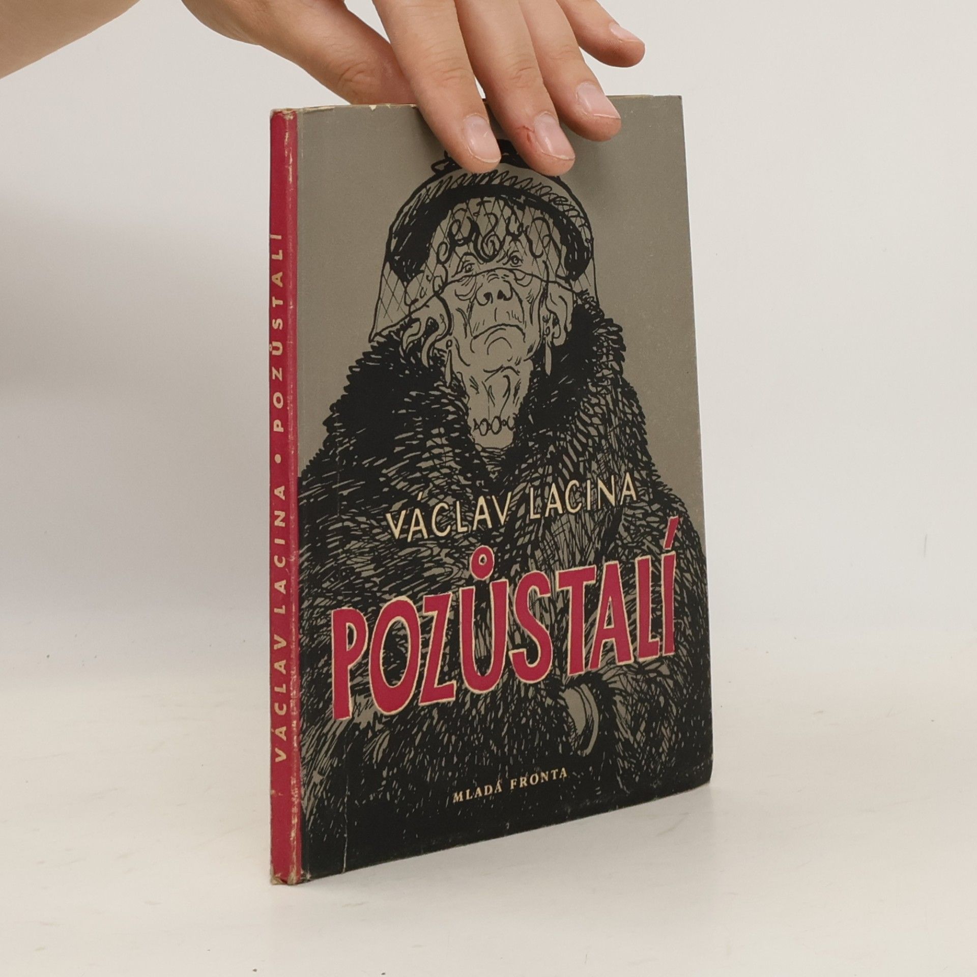 Pozůstalí