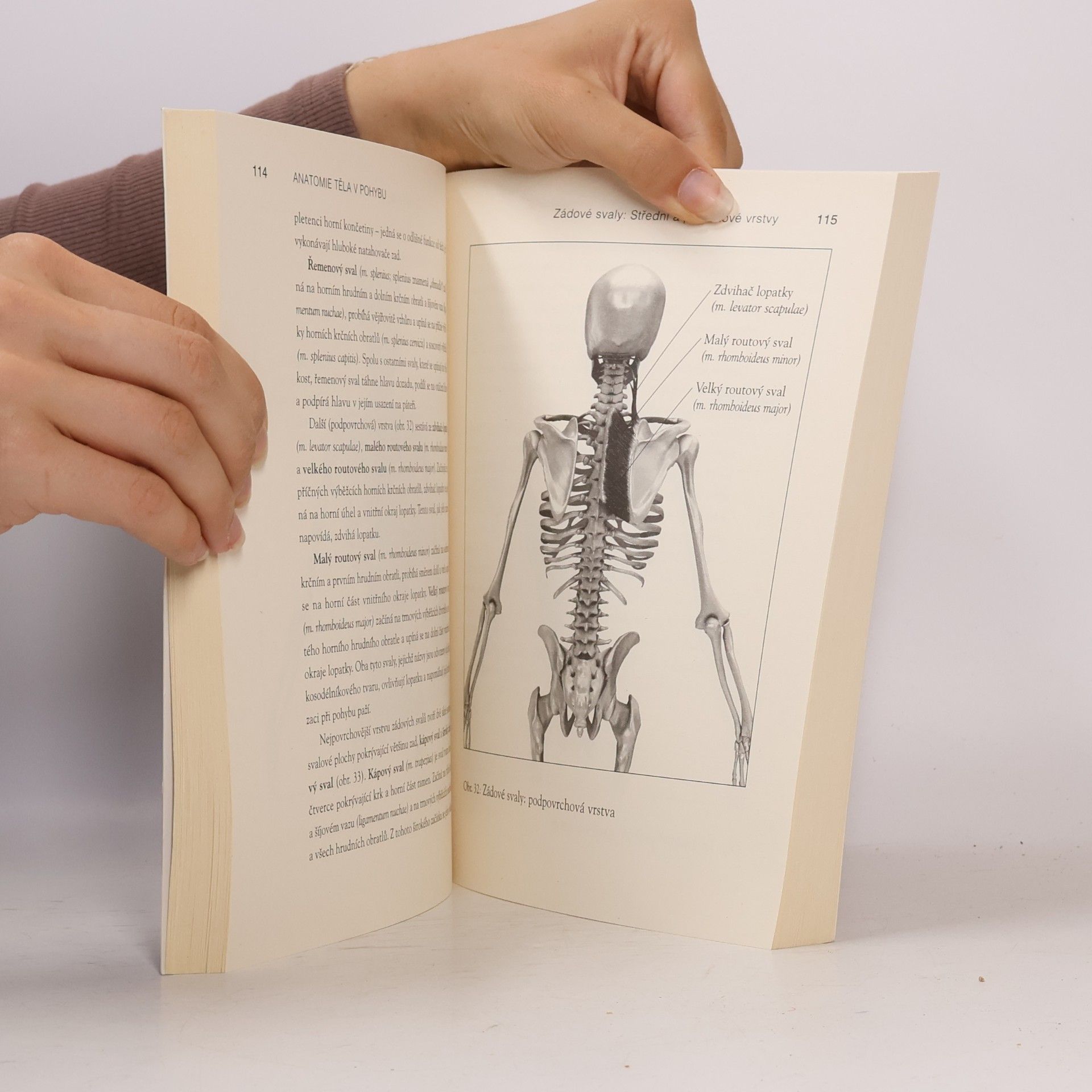 Theodore Dimon Anatomie těla v pohybu