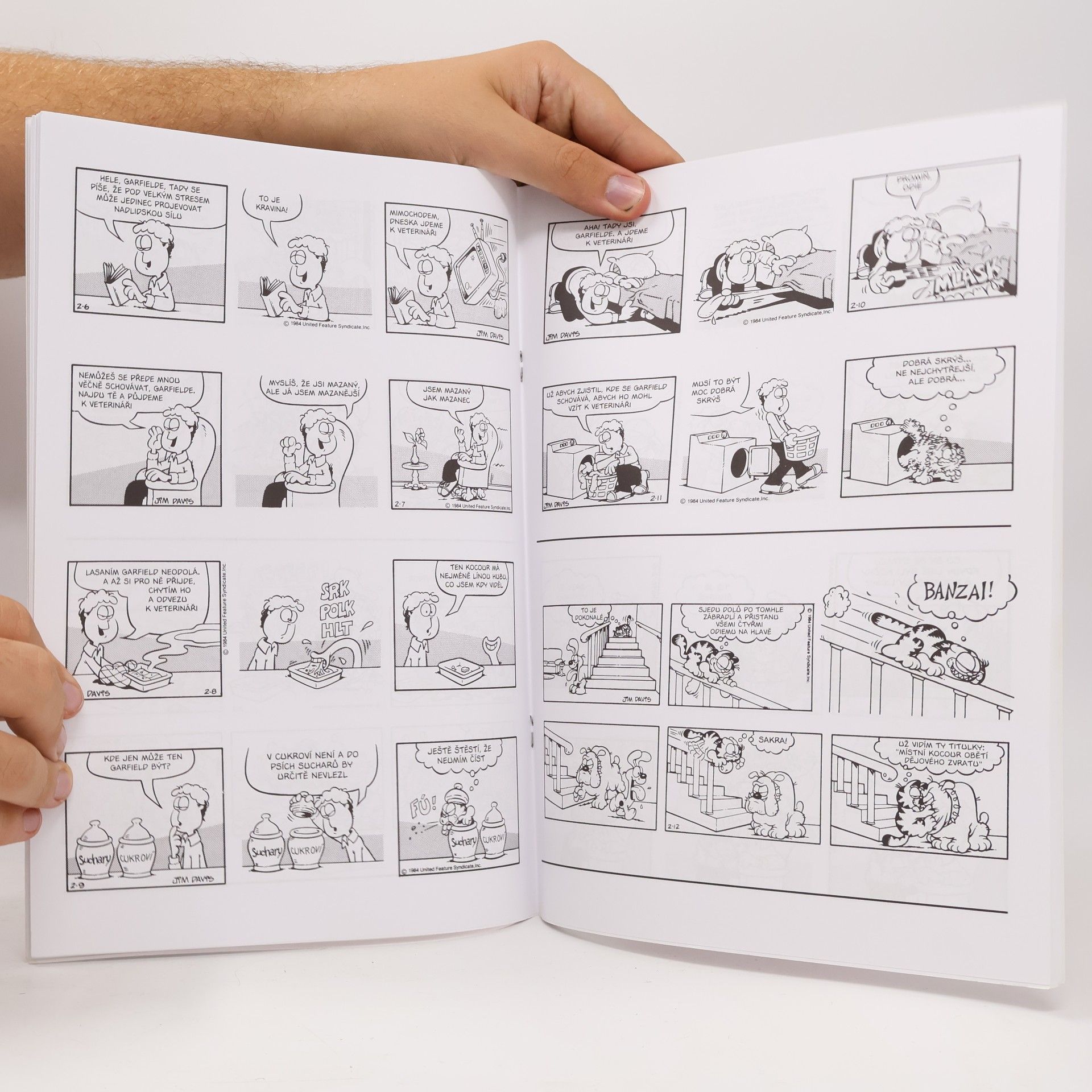Jim Davis Garfield není troškař