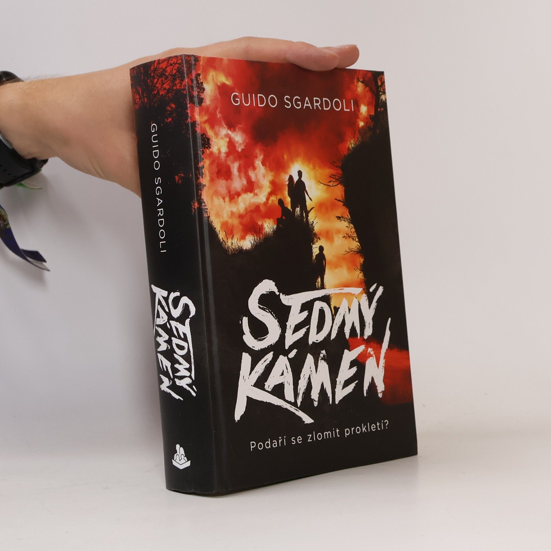 Guido Sgardoli Sedmý kámen