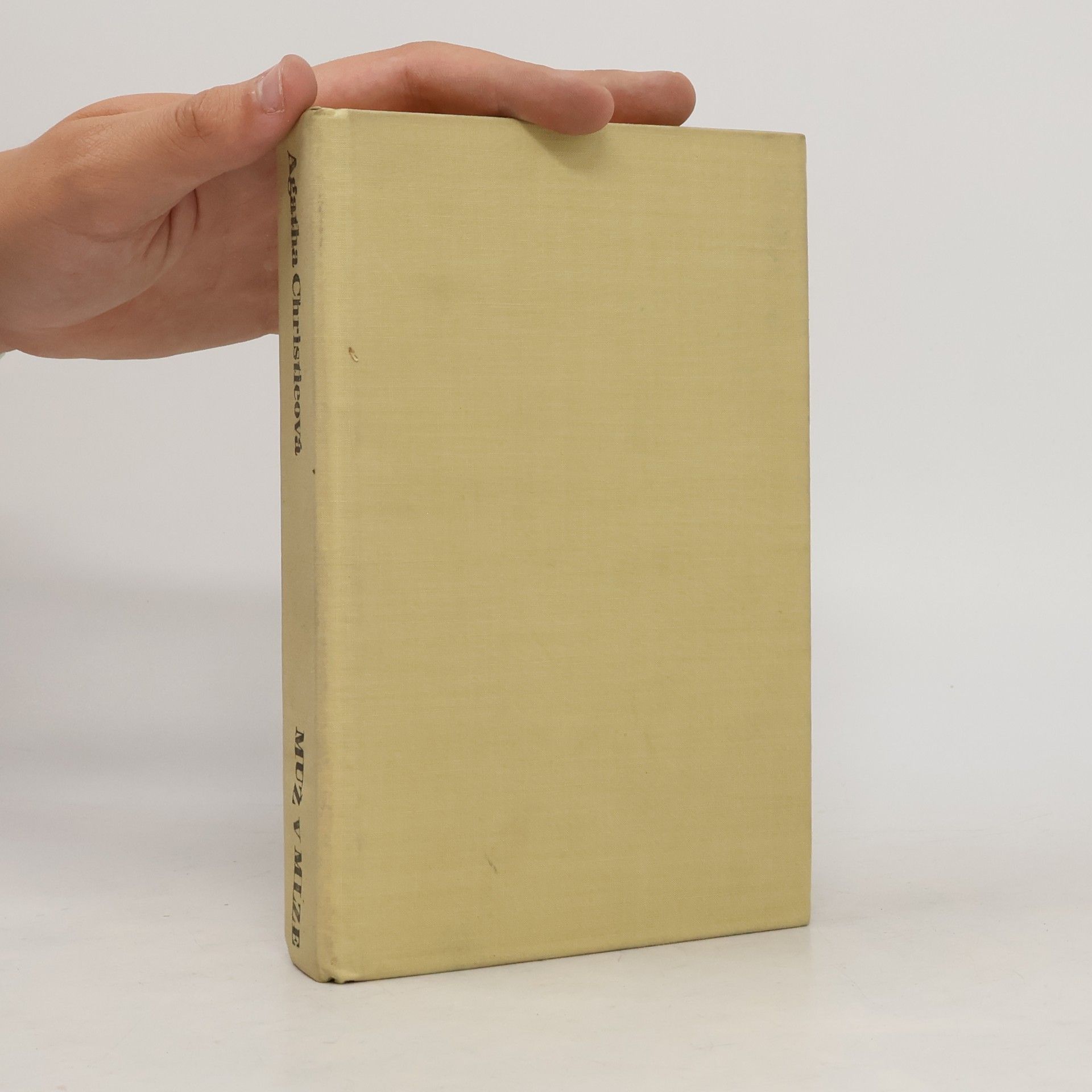 Agatha Christie Muž v mlze
