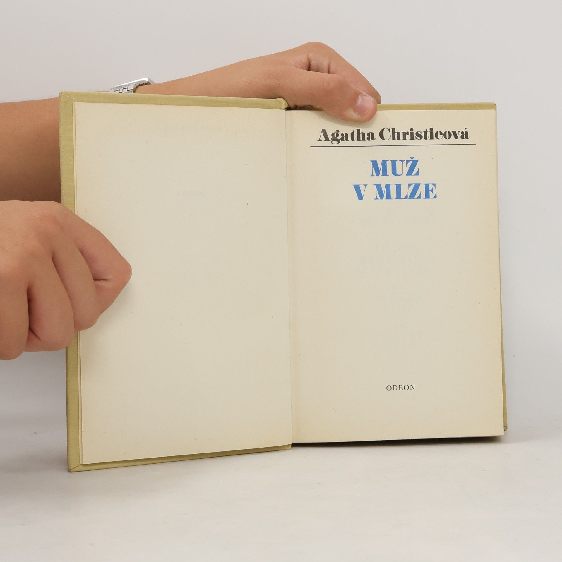 Agatha Christie Muž v mlze