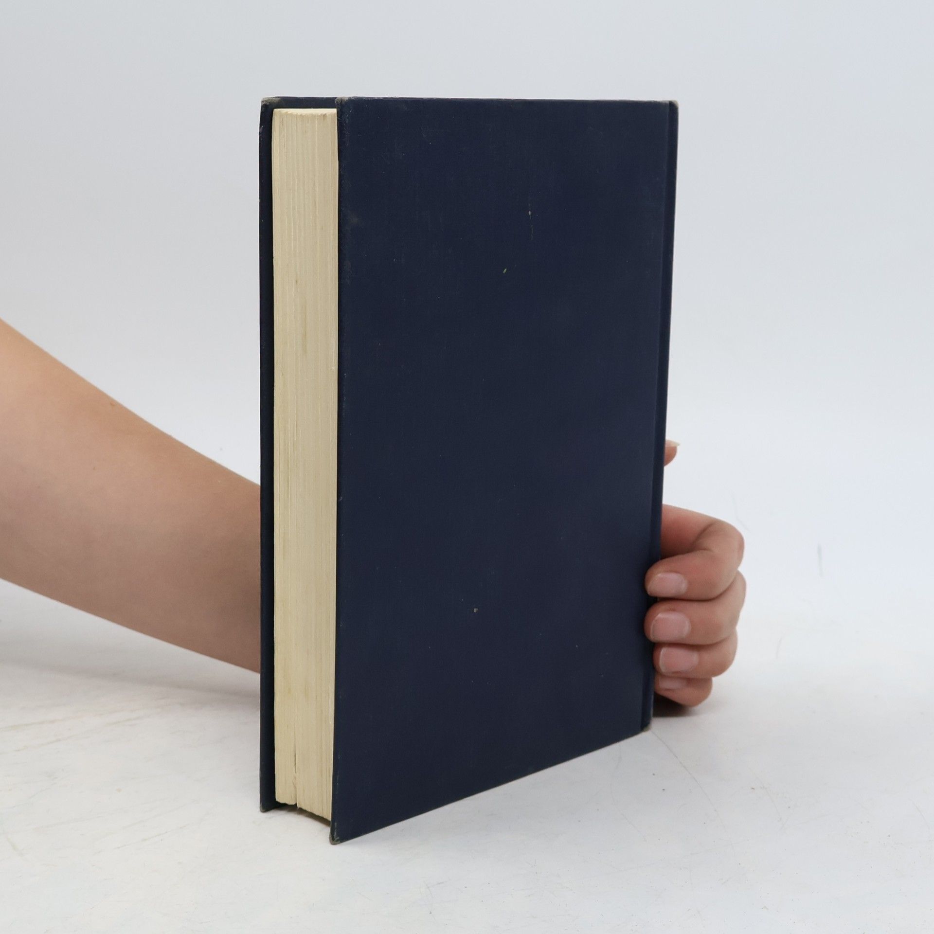 Erica Jong Le complexe d'Icare