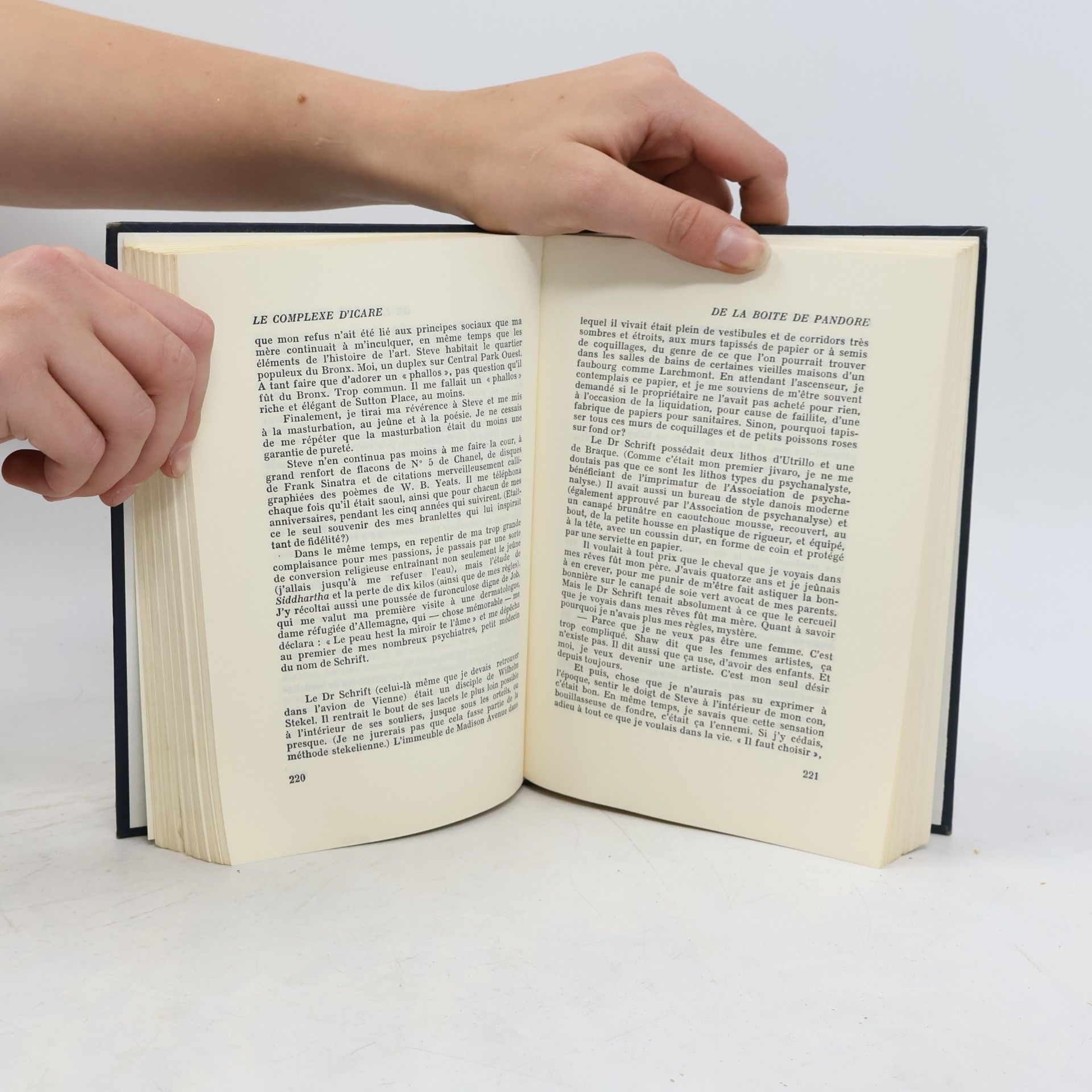 Erica Jong Le complexe d'Icare
