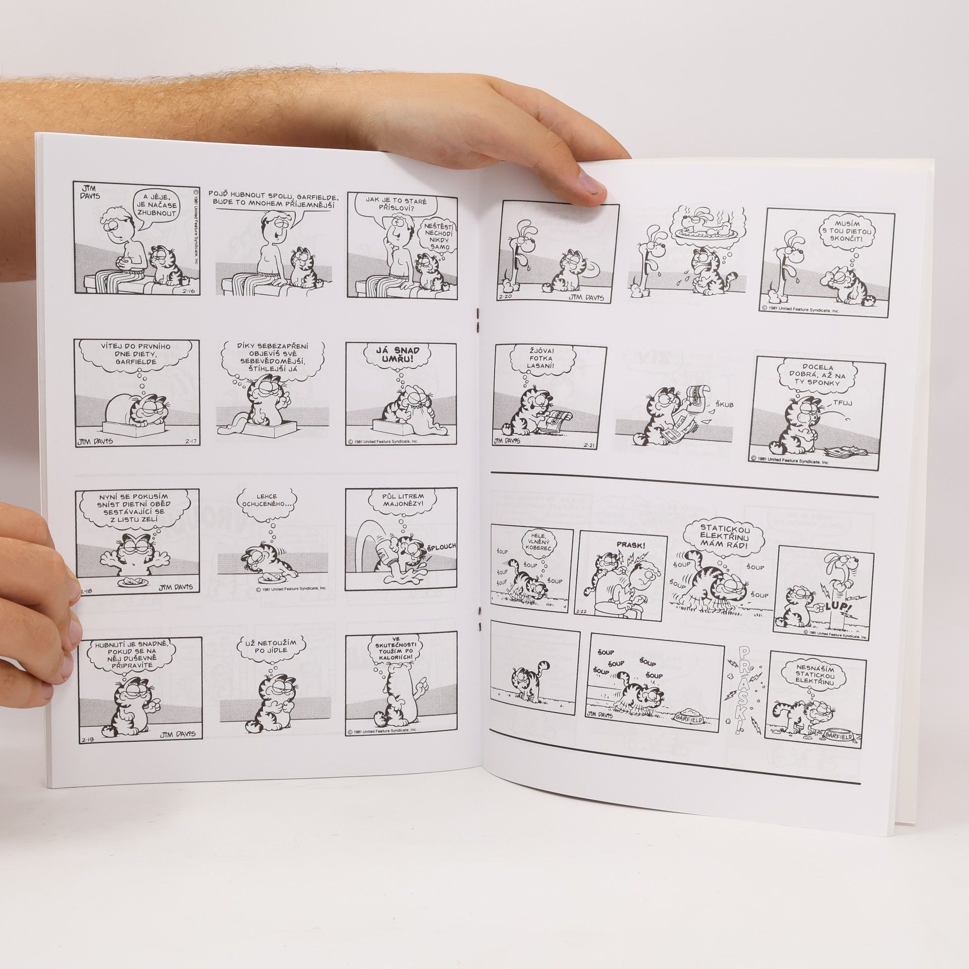 Jim Davis Garfield slízne smetanu