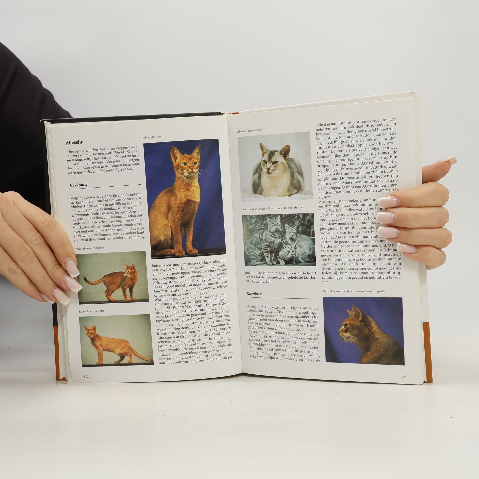 Berry Verhoef Katten Encyclopedie