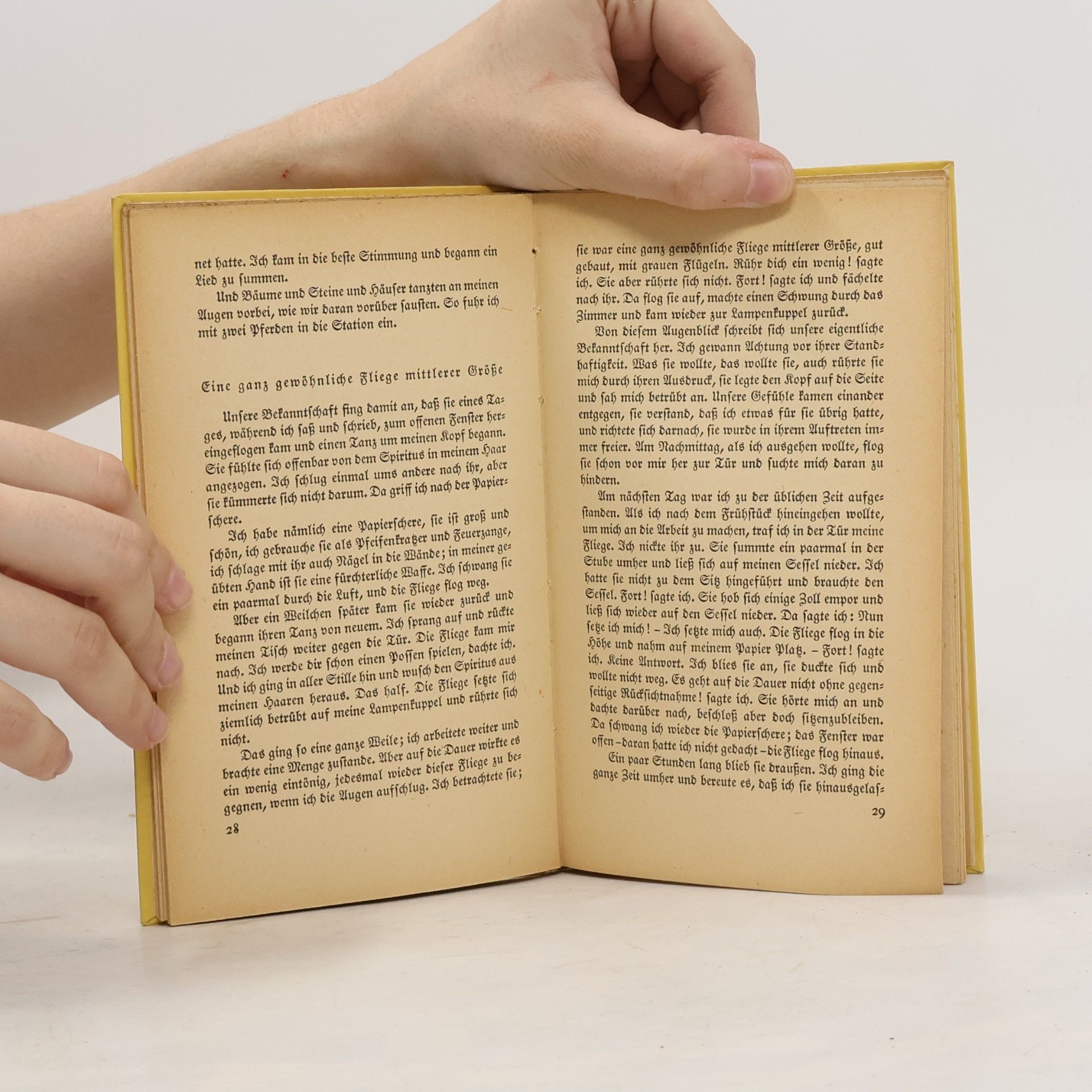 Knut Hamsun Ein Gespenst