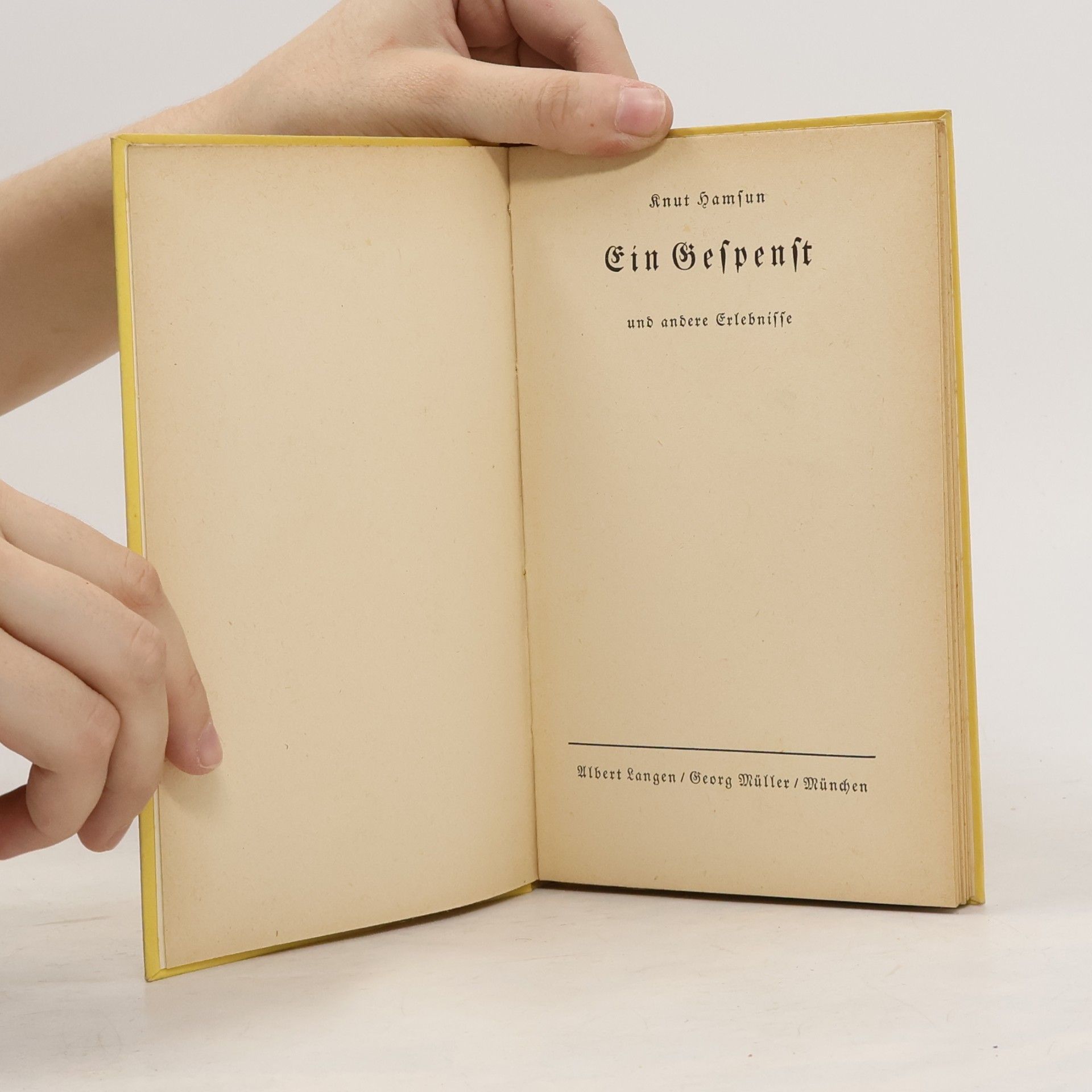 Knut Hamsun Ein Gespenst